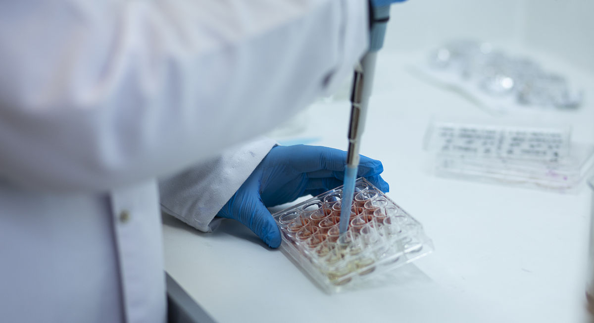 实验动物显微手术技术的优势