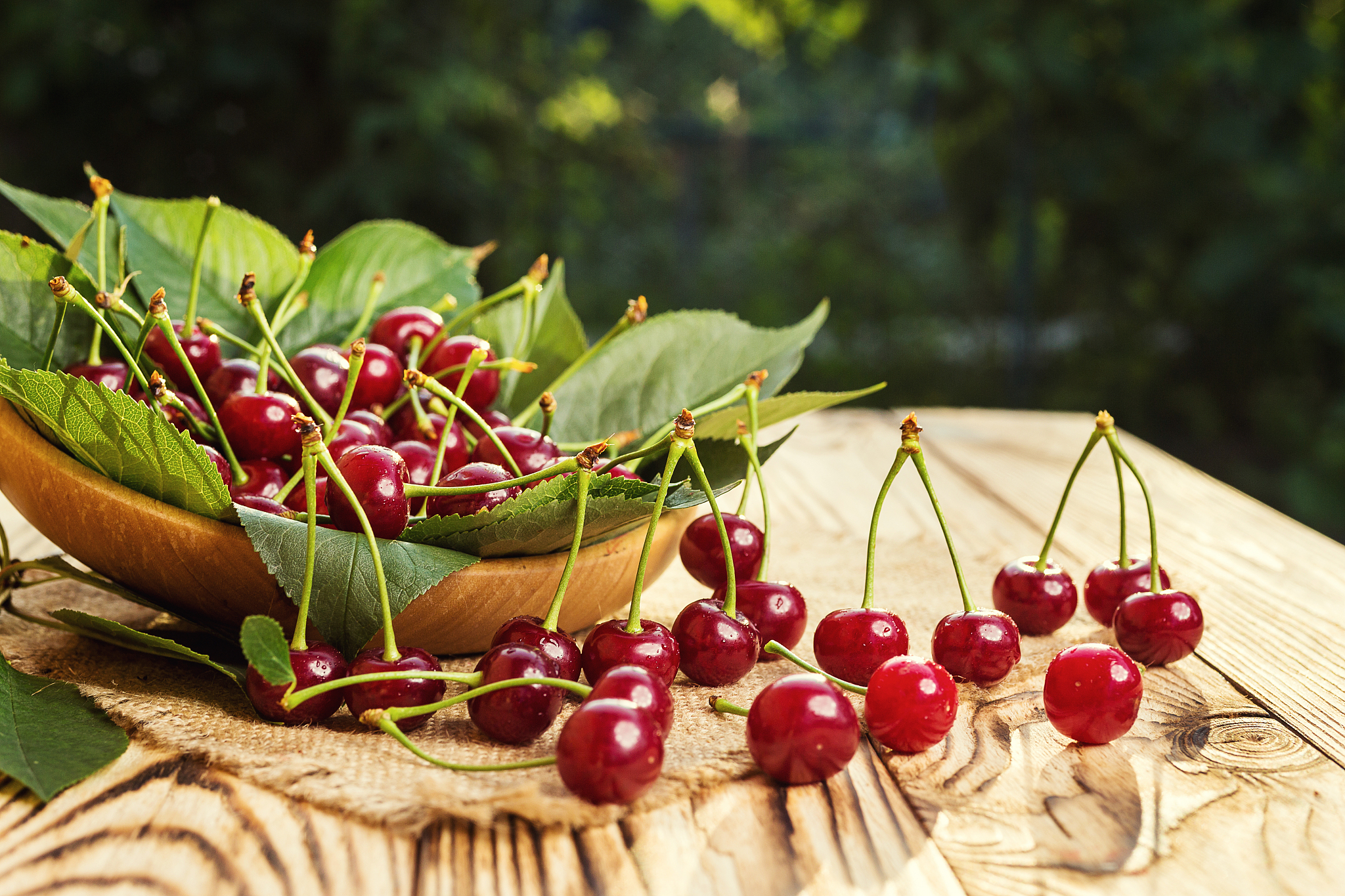 cherries in basket on wooden table.cherry. cherries in bowl. red