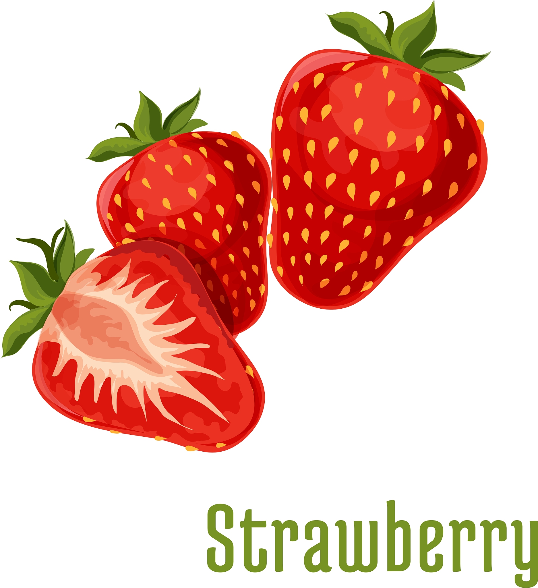 草莓英语(草莓英语怎么读)