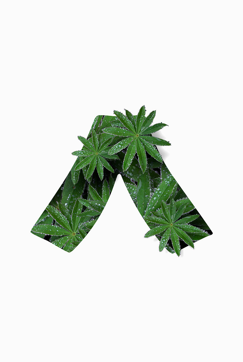 生成一份数学高一试卷