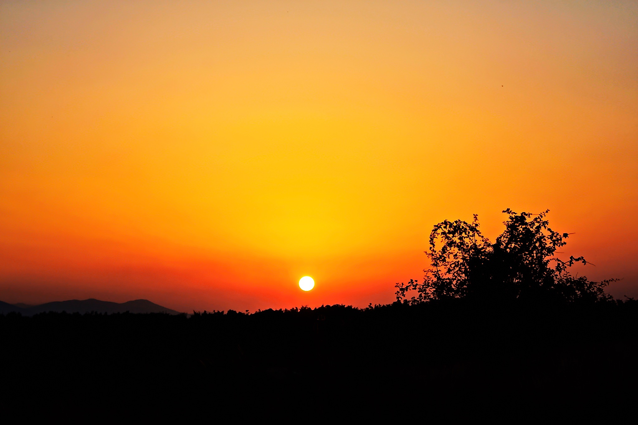 以夕阳为主题，创作一首唐诗