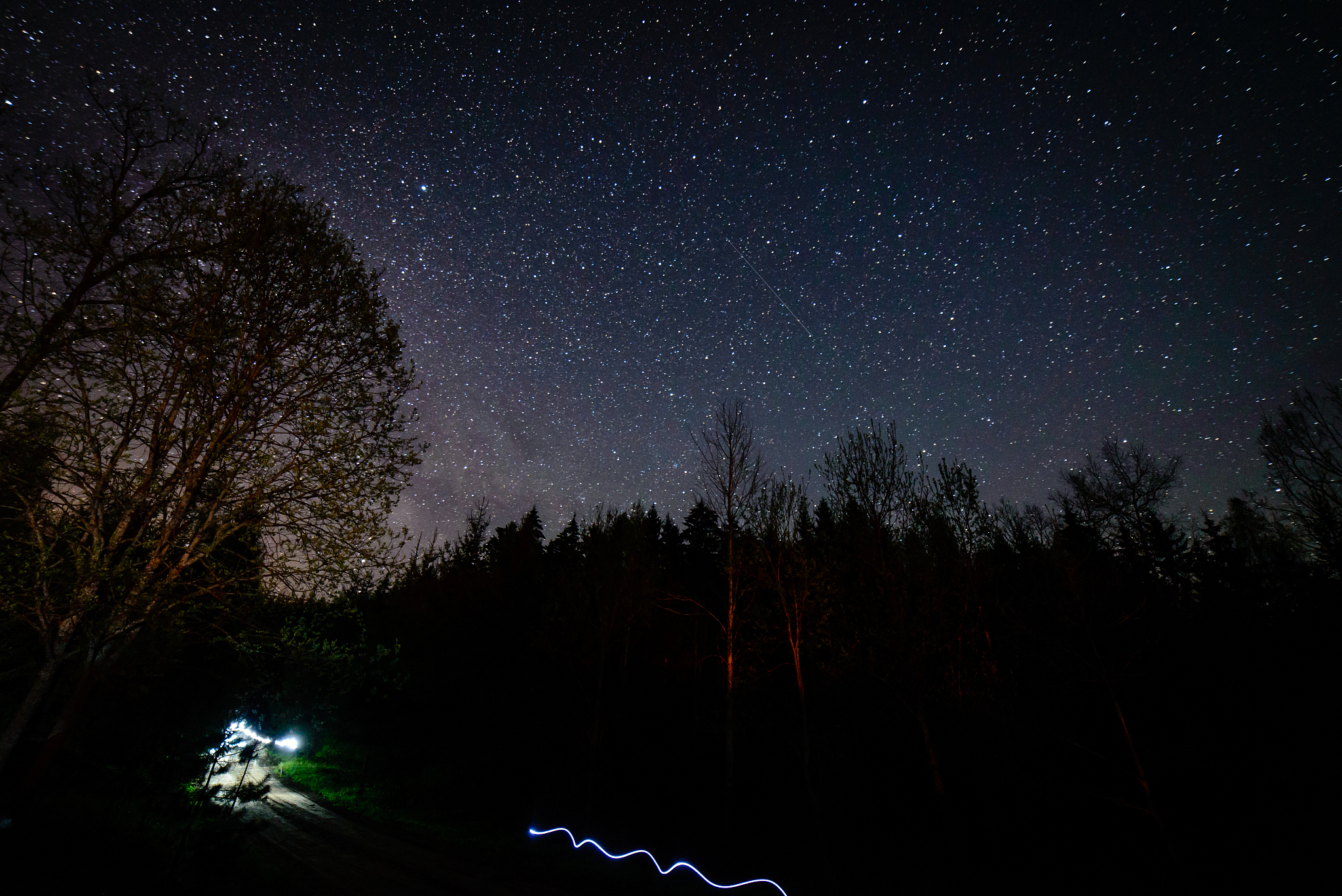 colorful milky way galaxy seen in night sky through black trees