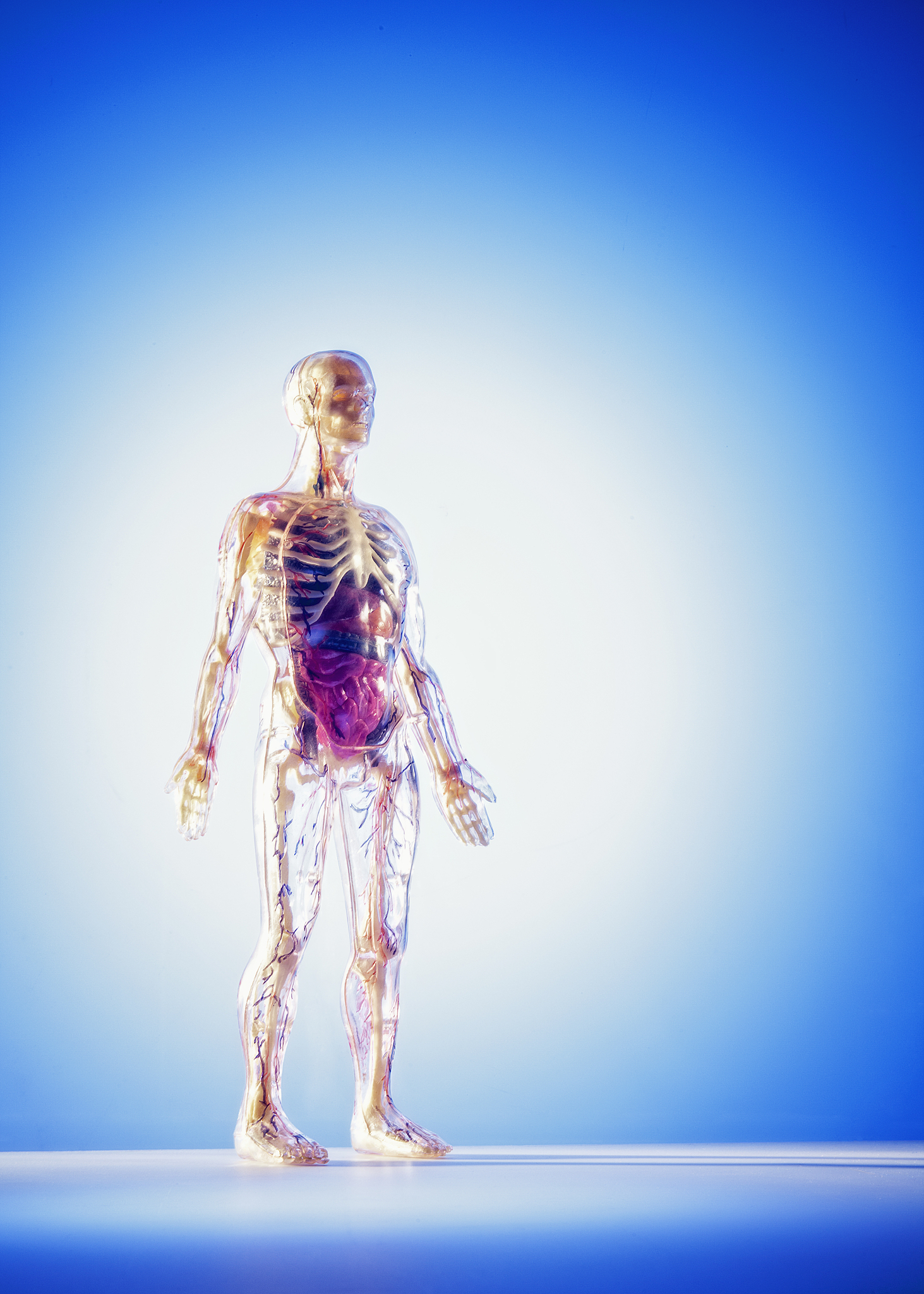 多指标、多器官医学图像分割模型评估方法