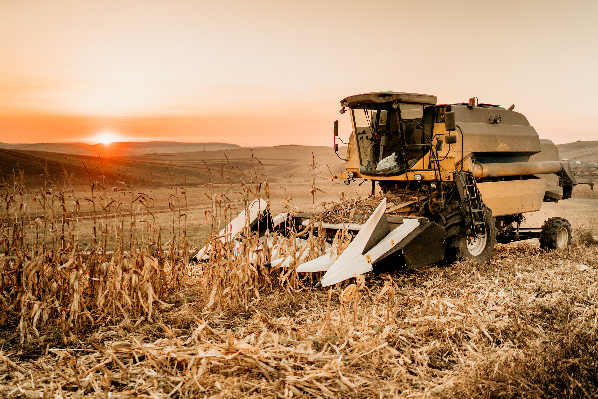 北京交通职业技术学院单招药剂专业好吗