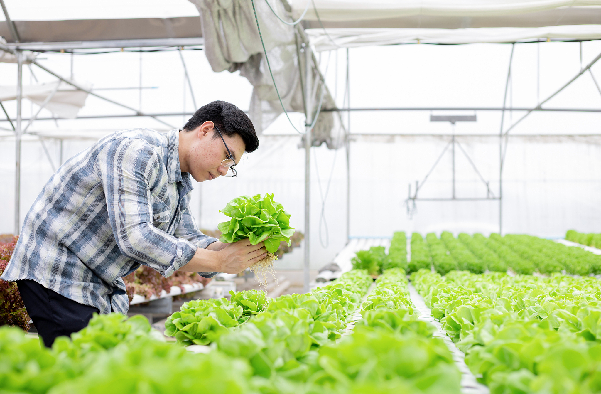 曲靖农校2019年五年制大专重点招生专业 - 农业、林业、畜牧业、园艺等专业等你来学！