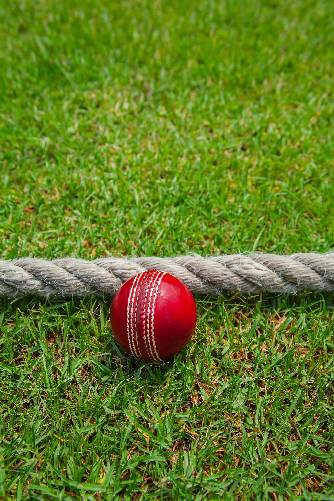 cricket ball