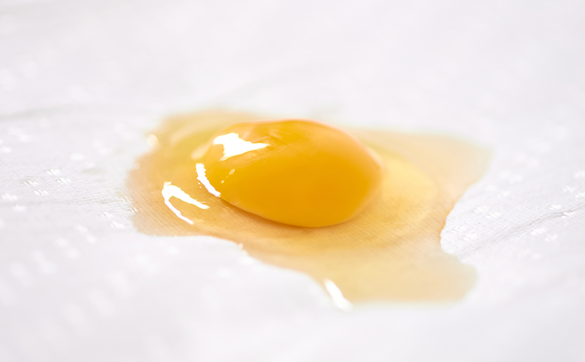 白皮鸡蛋是人造蛋吗？真相大揭秘！