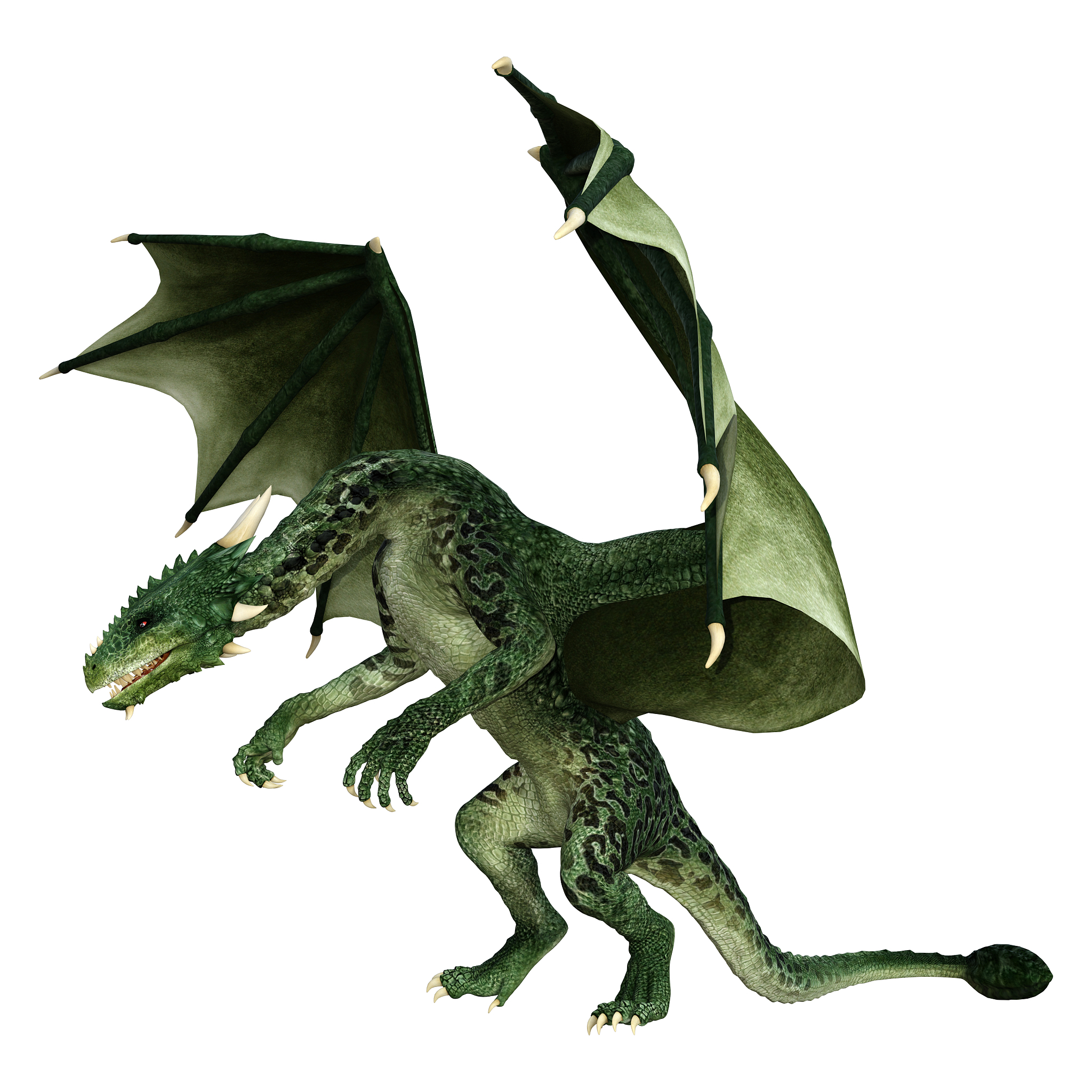 3d illustration fantasy dragon on white