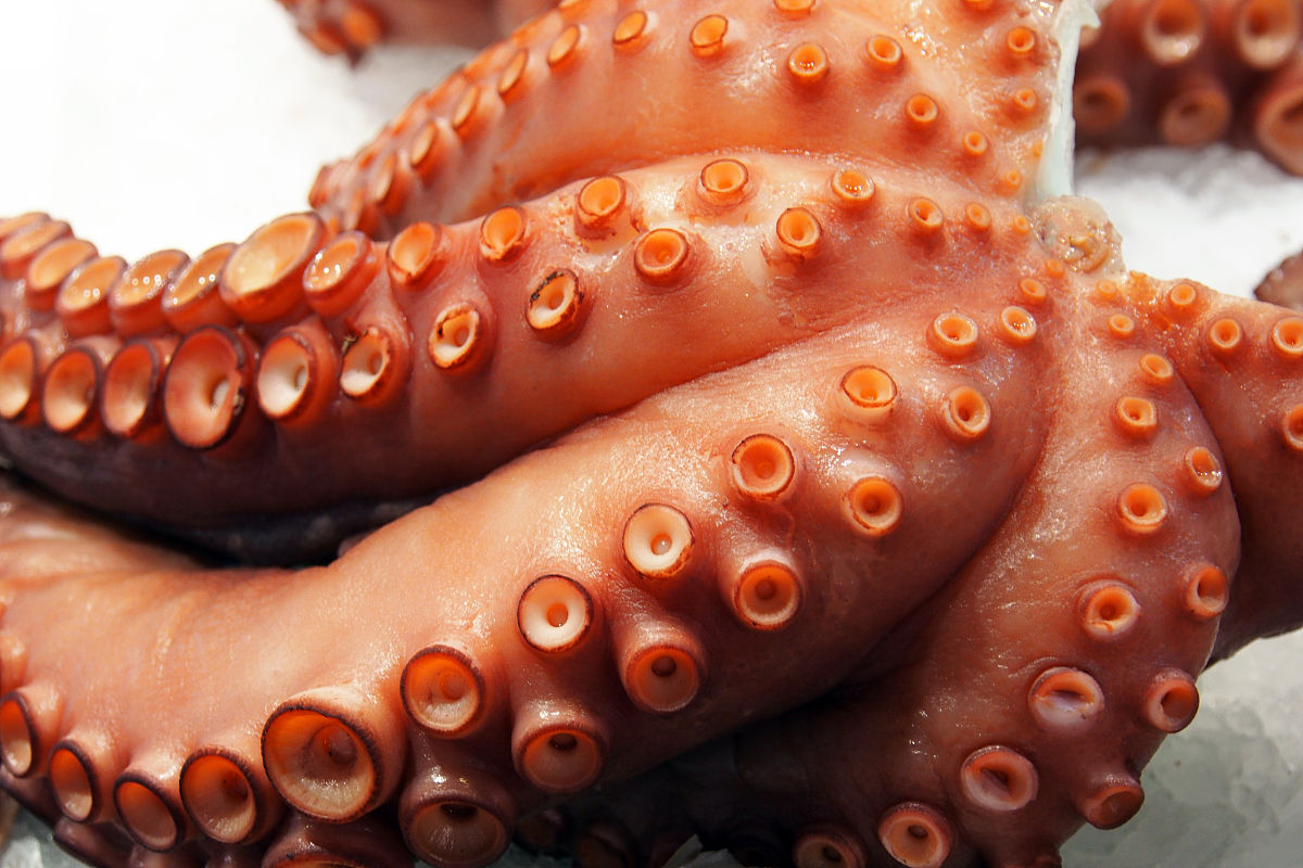 昆明工艺美术学校珠宝玉石加工与营销专业怎么样