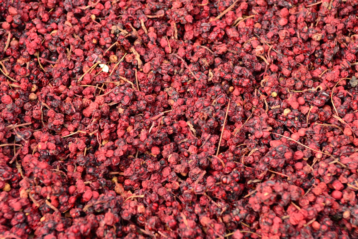 永善的花椒主要用于什么地方种植帮我用200字详细描述