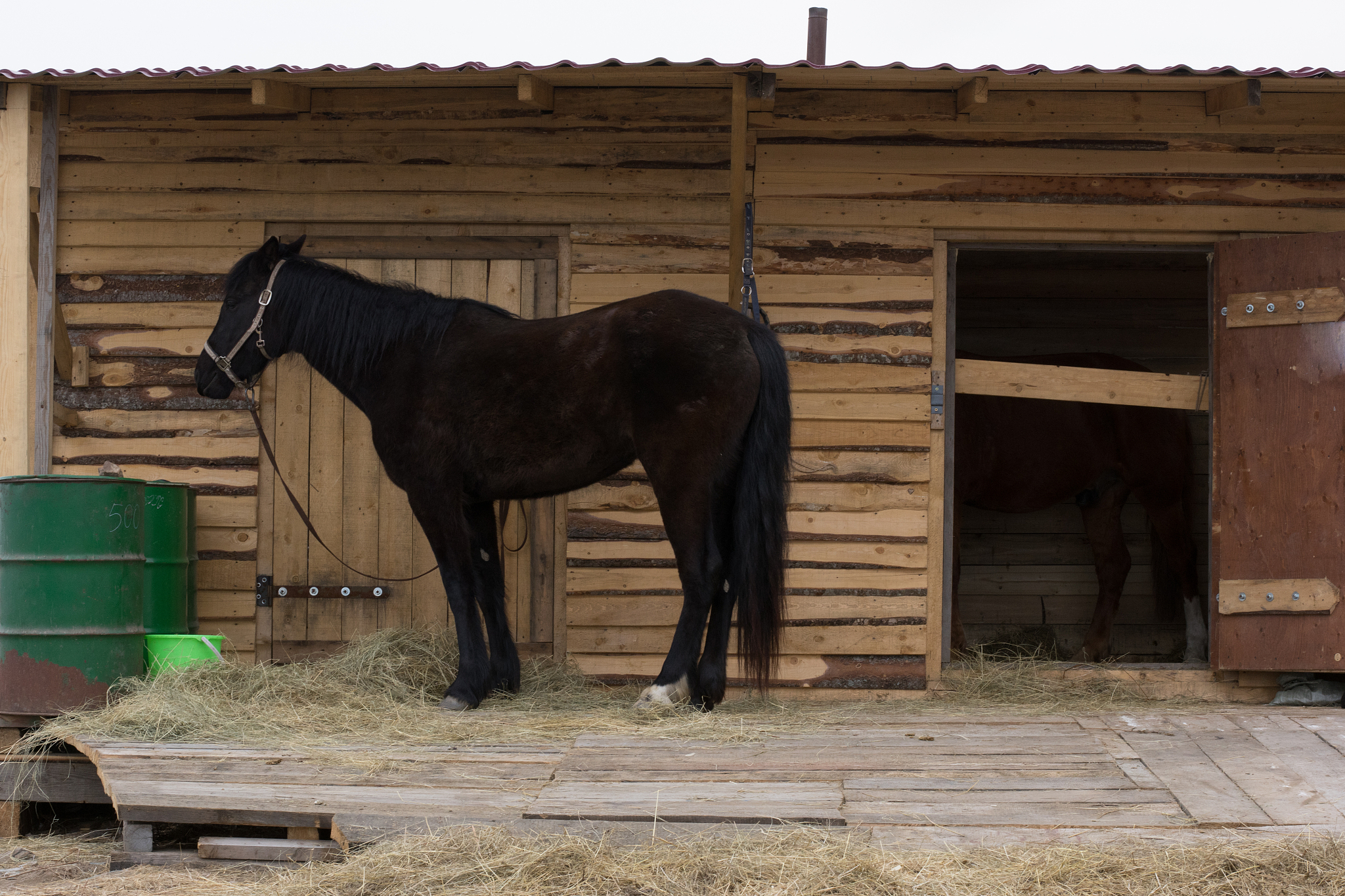 赤兔马的外观形象描述提示词