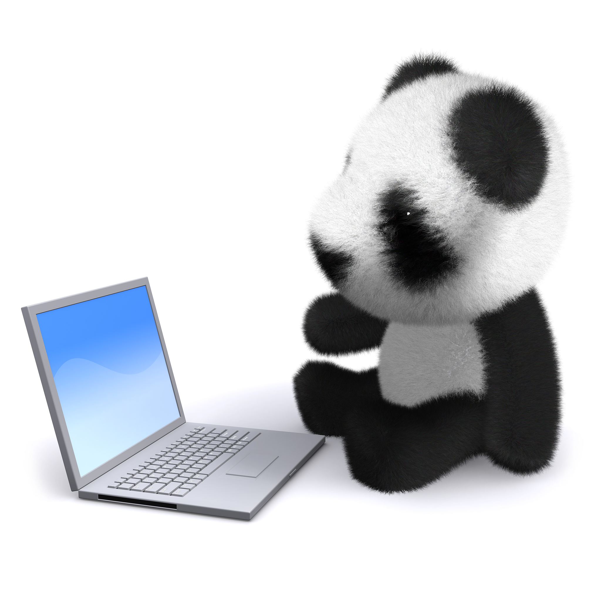 3d baby panda with laptop