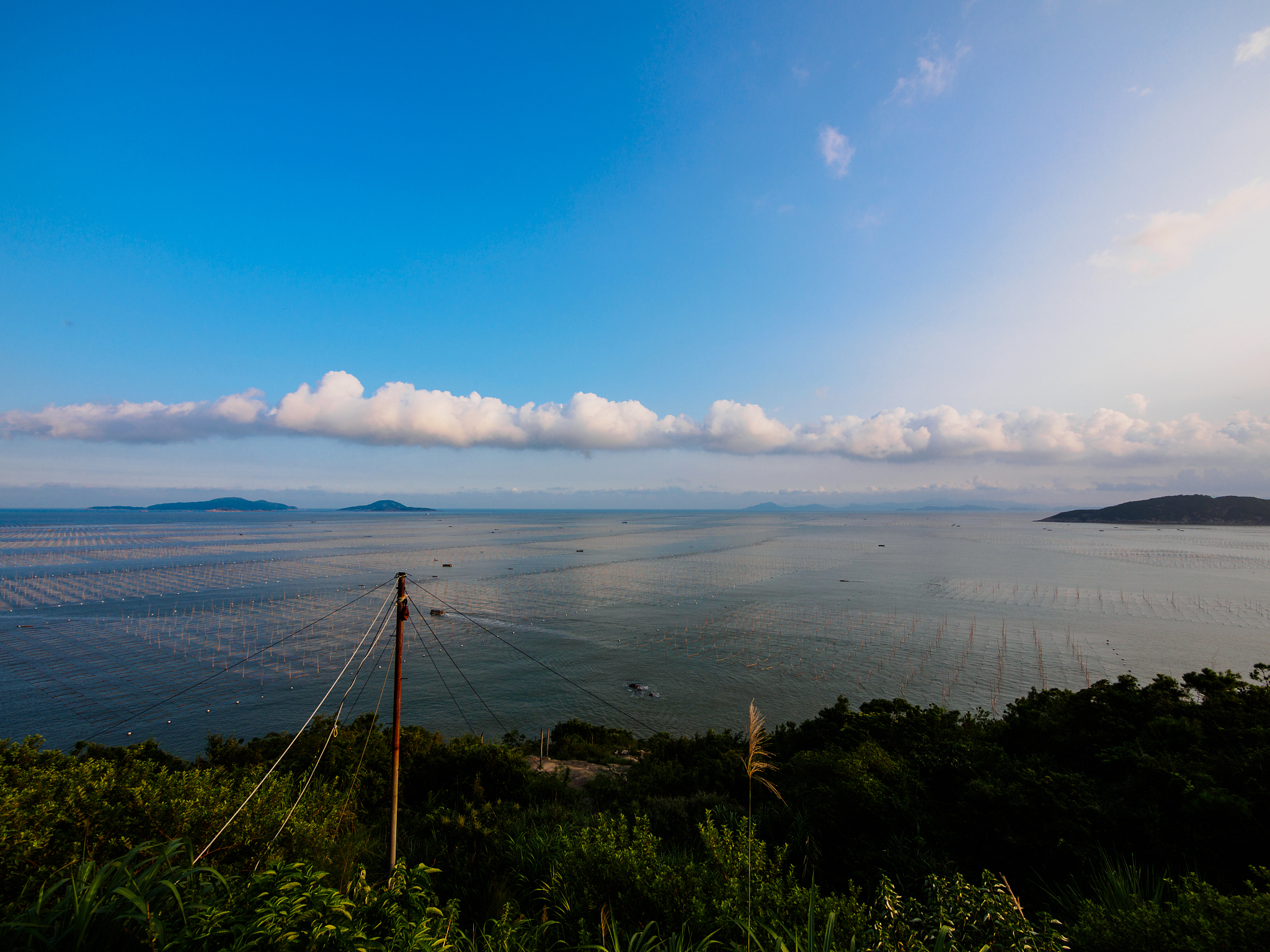 宁德男孩中考初中选什么专业好？2023年热门专业推荐