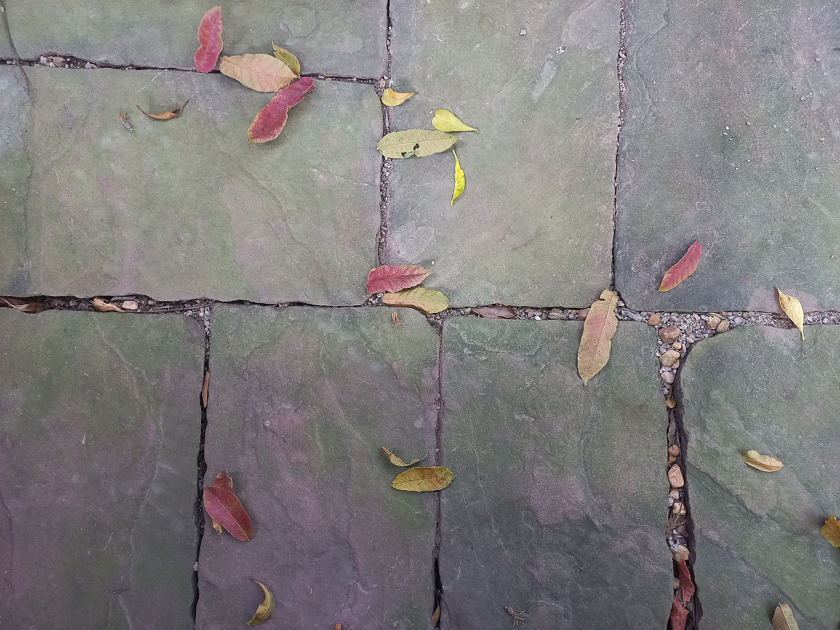 瓷砖采购合同模板