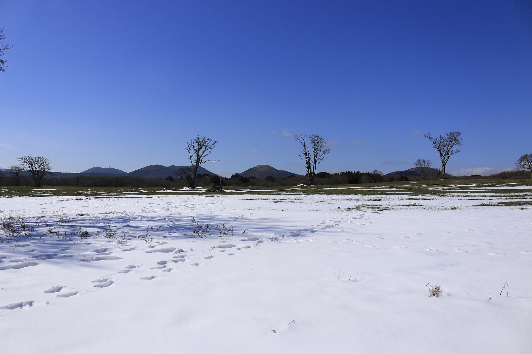 pasture, pasture, field
