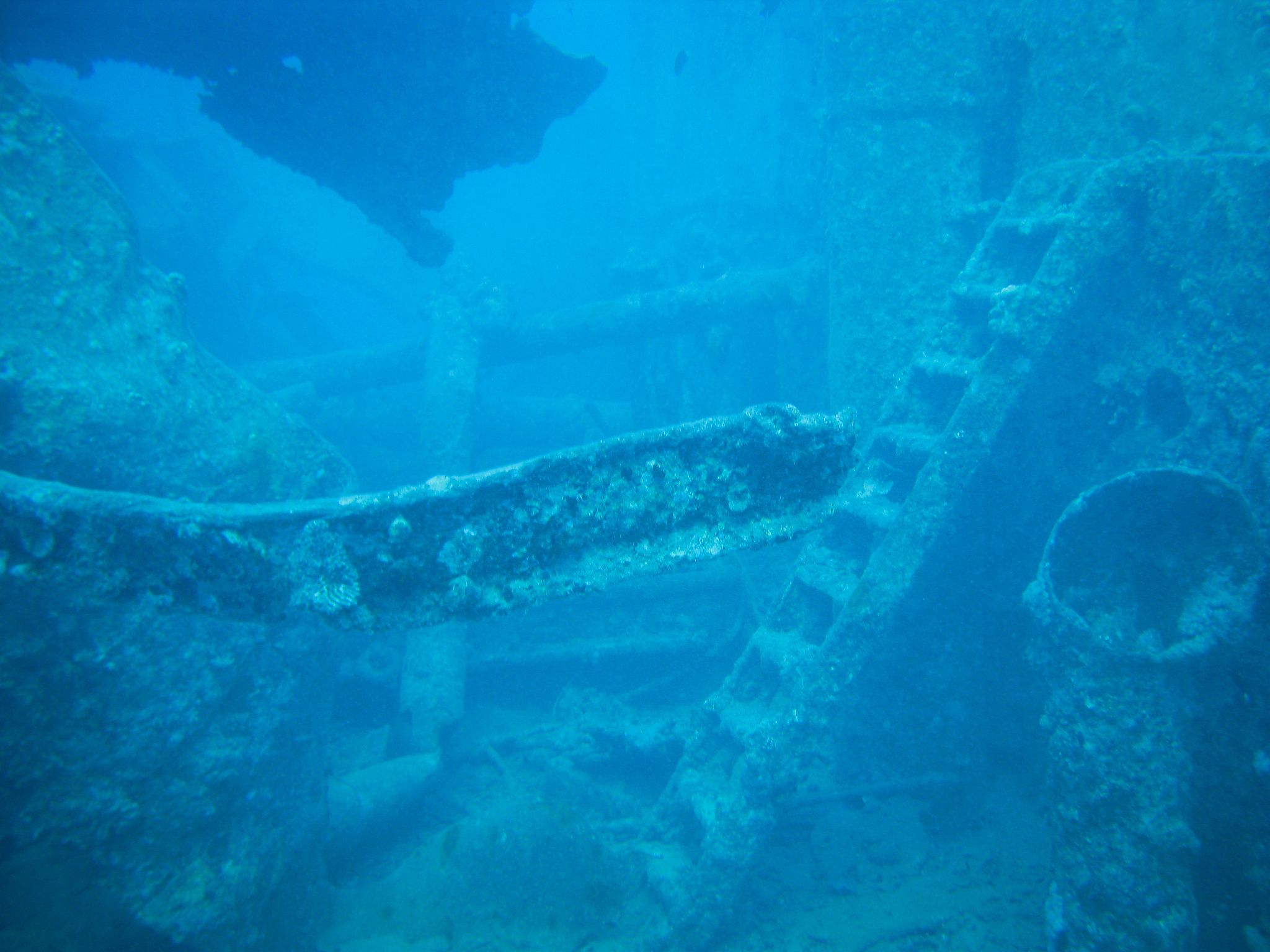 underwater scenes