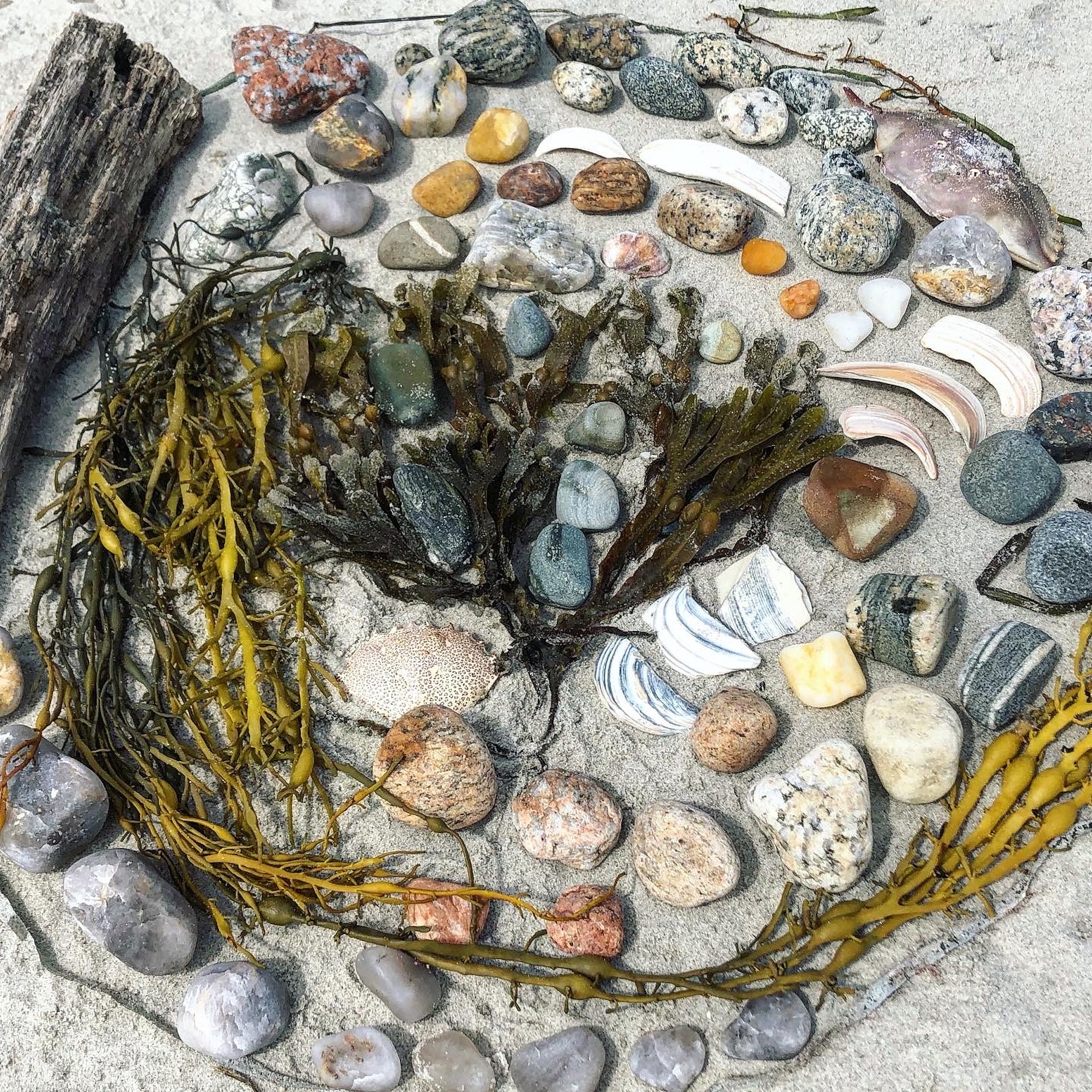beach finds arrangements