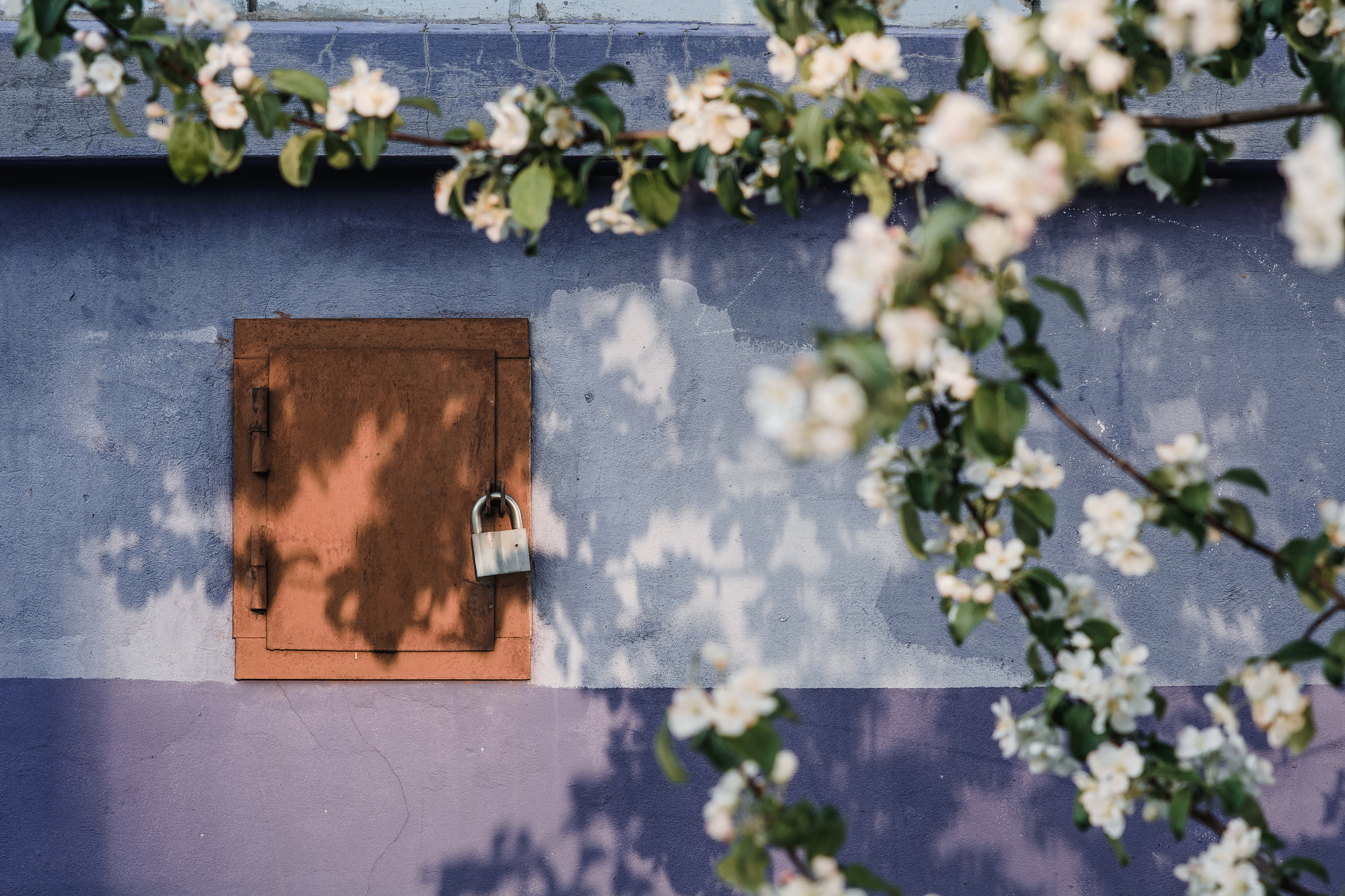 治愈心灵：150字文案，带你走进宁静花园