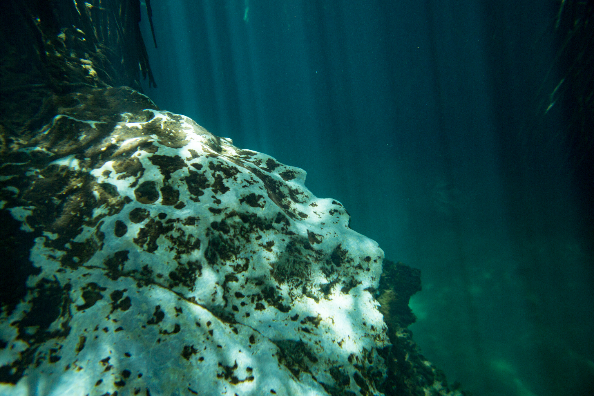 limestone shelf underwater