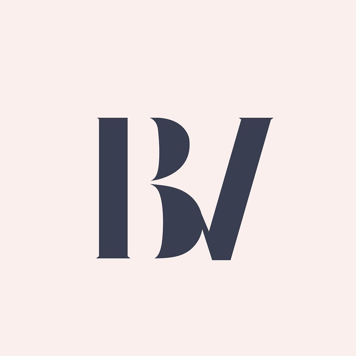 bv字母组合的标志.印刷字母的首字母.