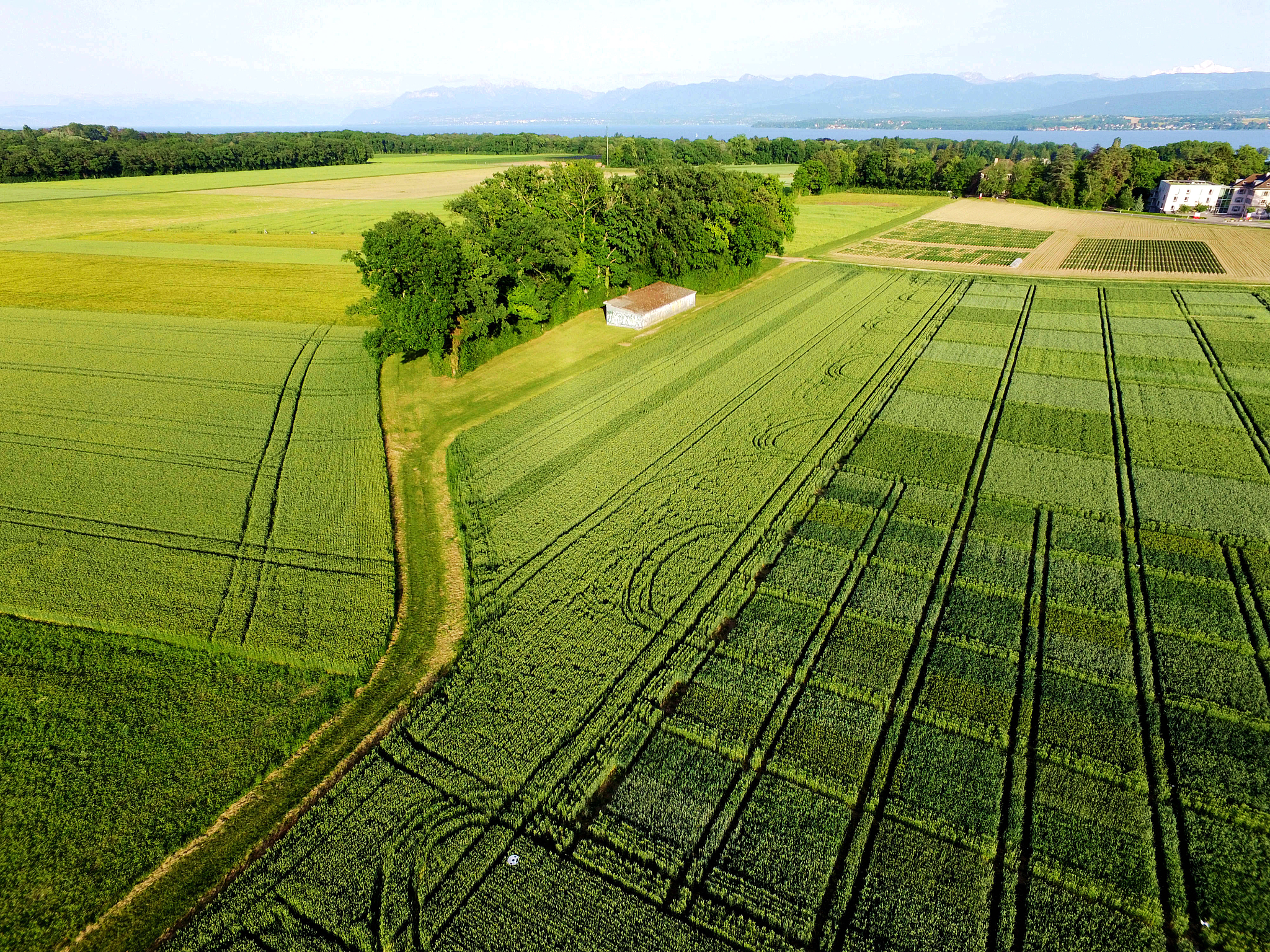 全域土地综合整治业务详解：优化土地利用、改善环境、促进可持续发展