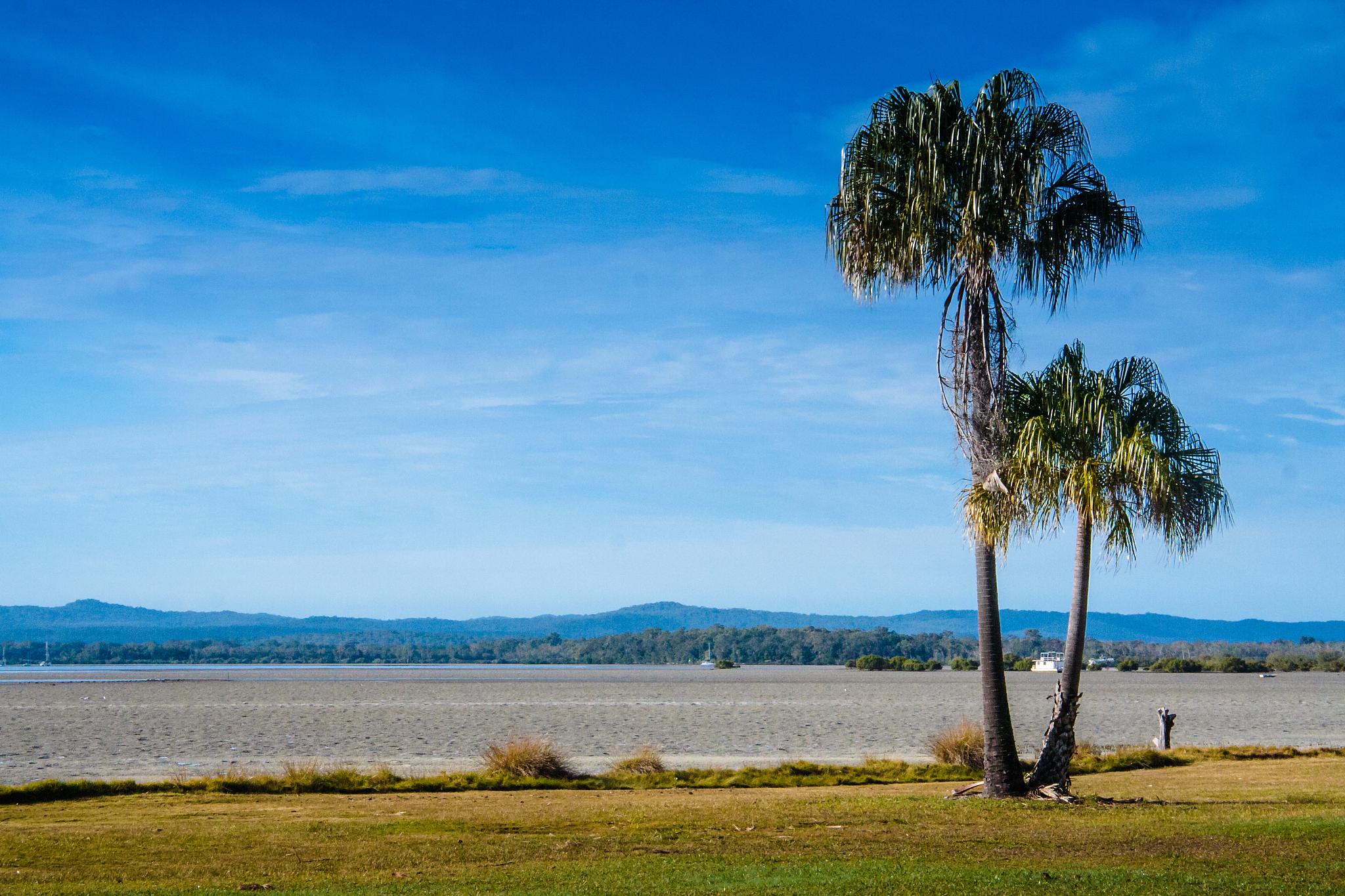 泸州树风幼师职业高级中学校宿舍条件