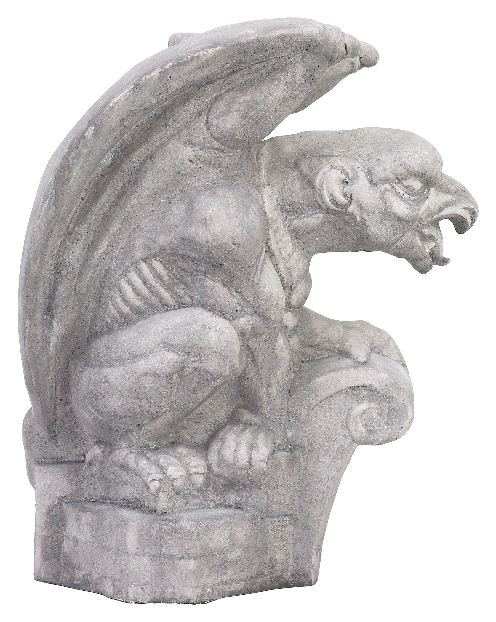 Carotid Vulnerable Plaque Rupture: A Case Study Highlighting the Importance of Contrast-Enhanced Ultrasound