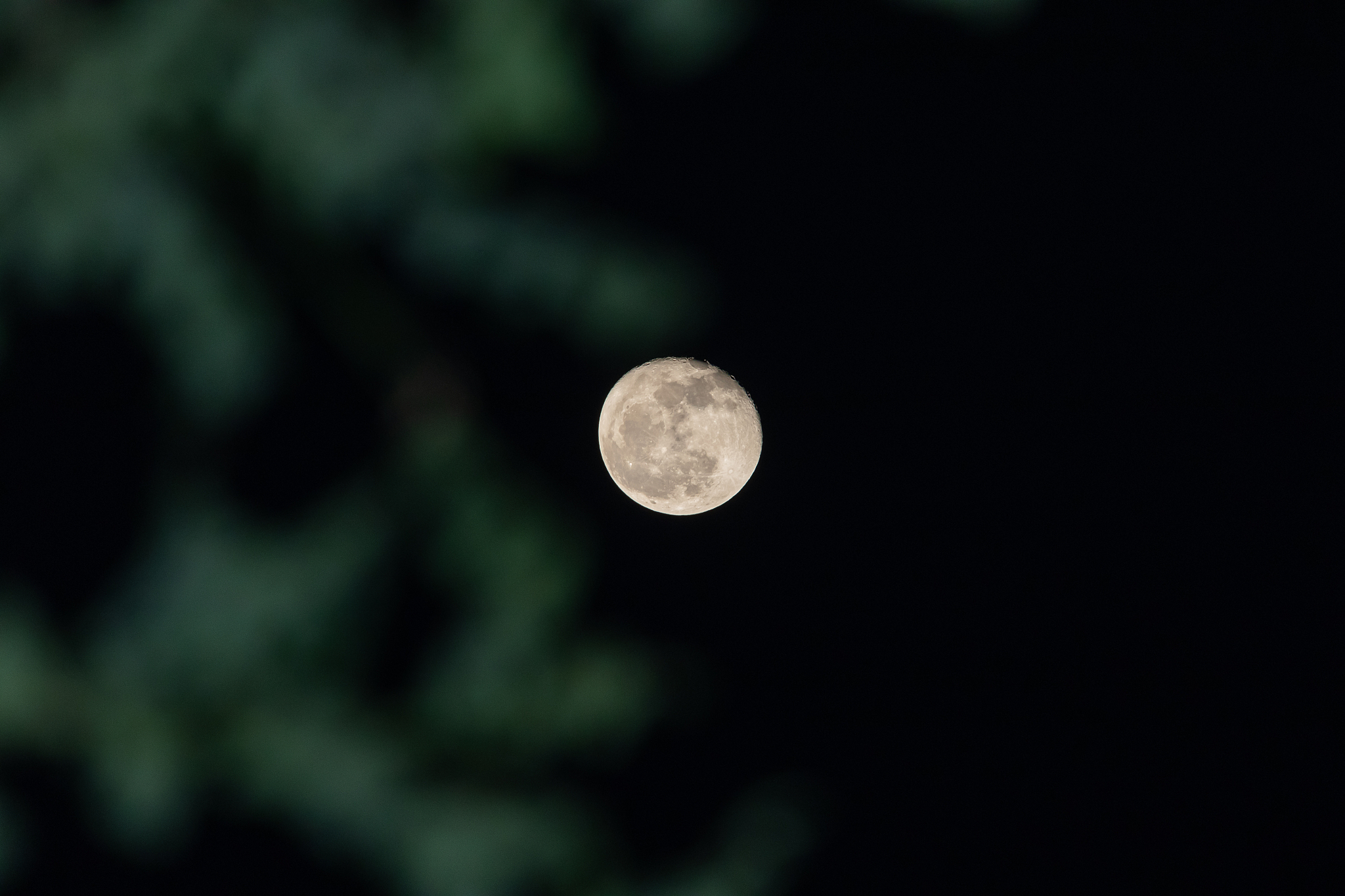 full moon in the sky