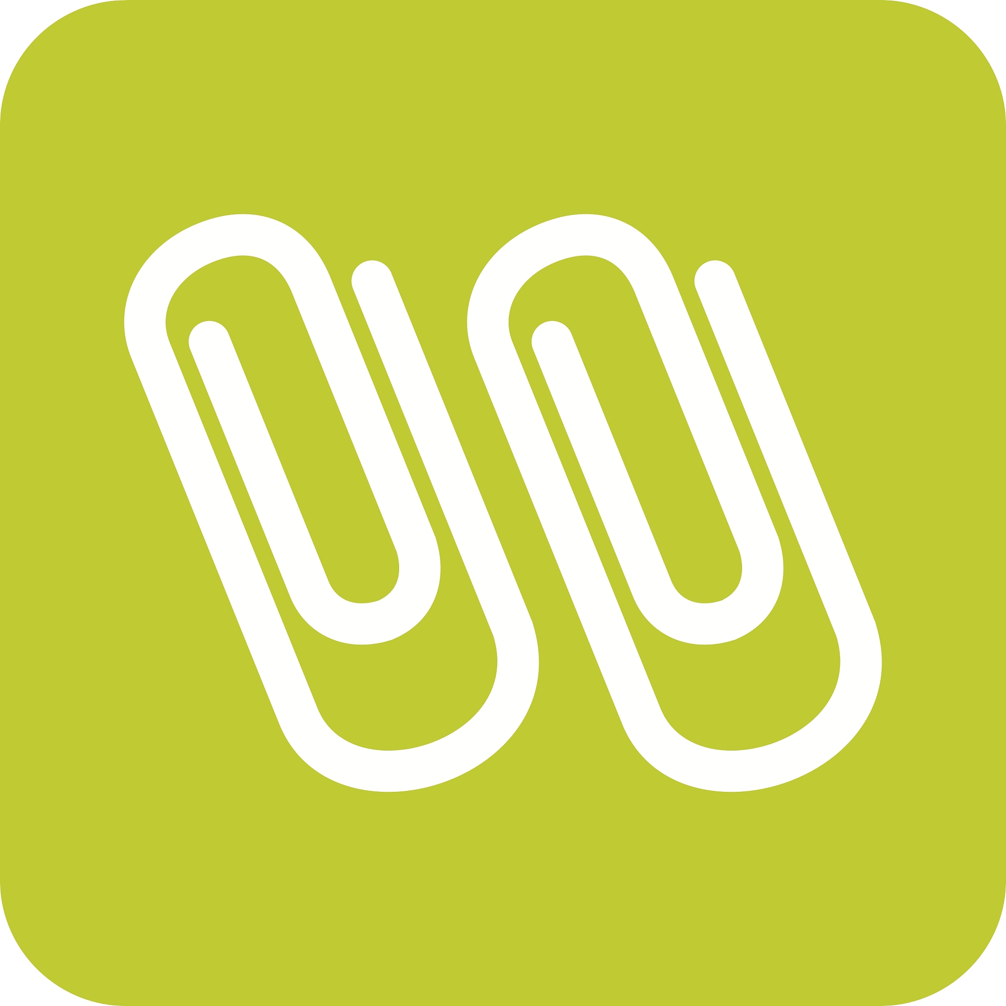 paper clips