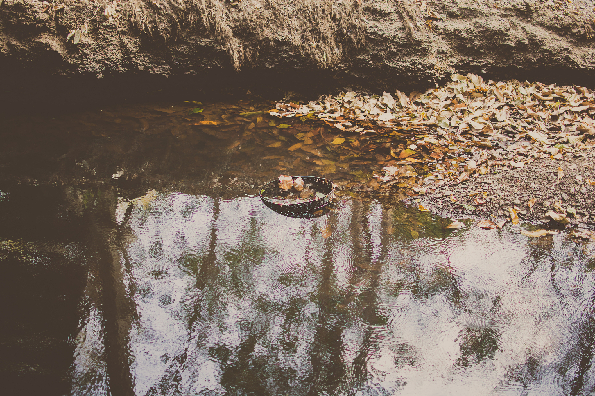 river deep in forest, filtered effect