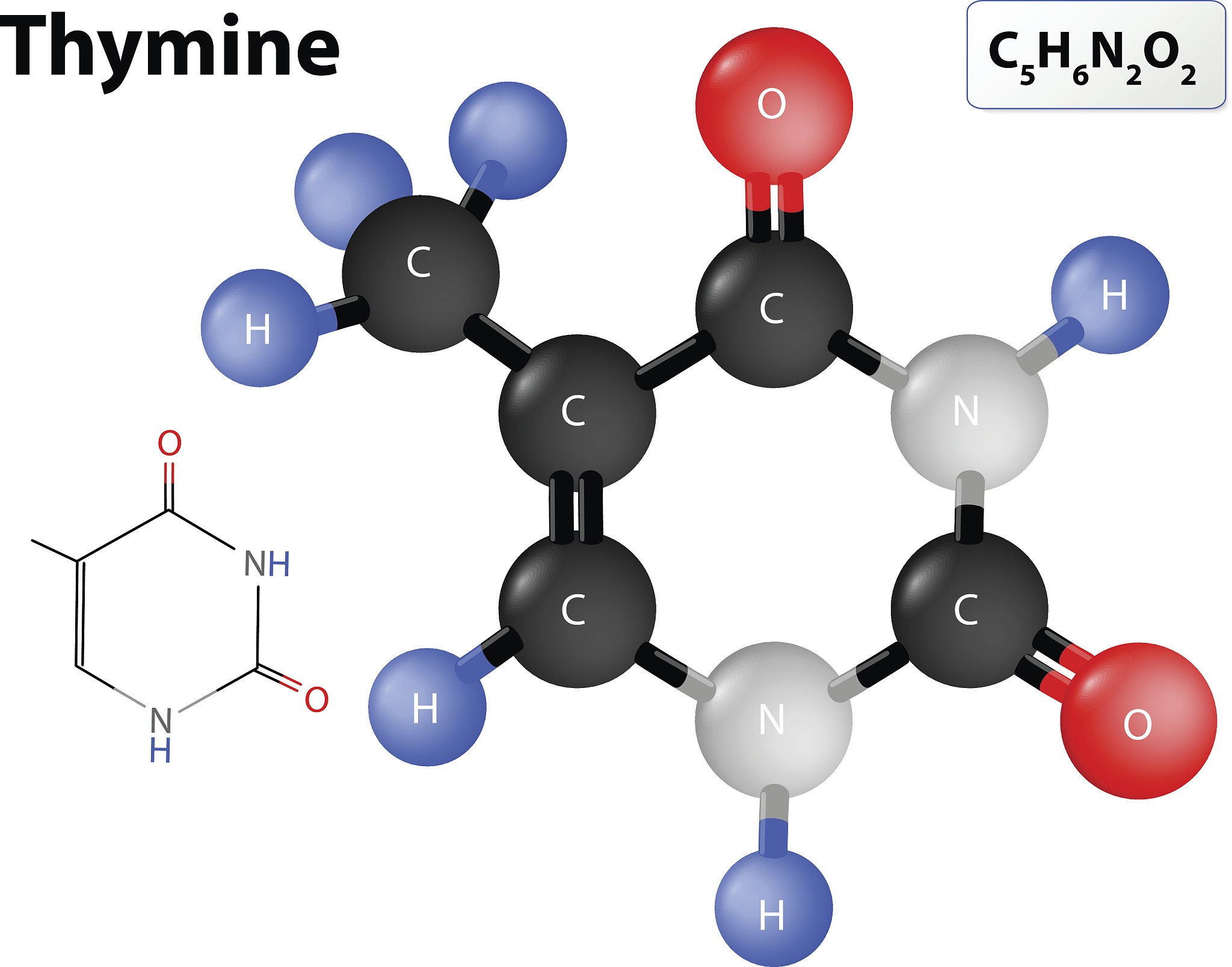 Synthesize of Au NC building blocks