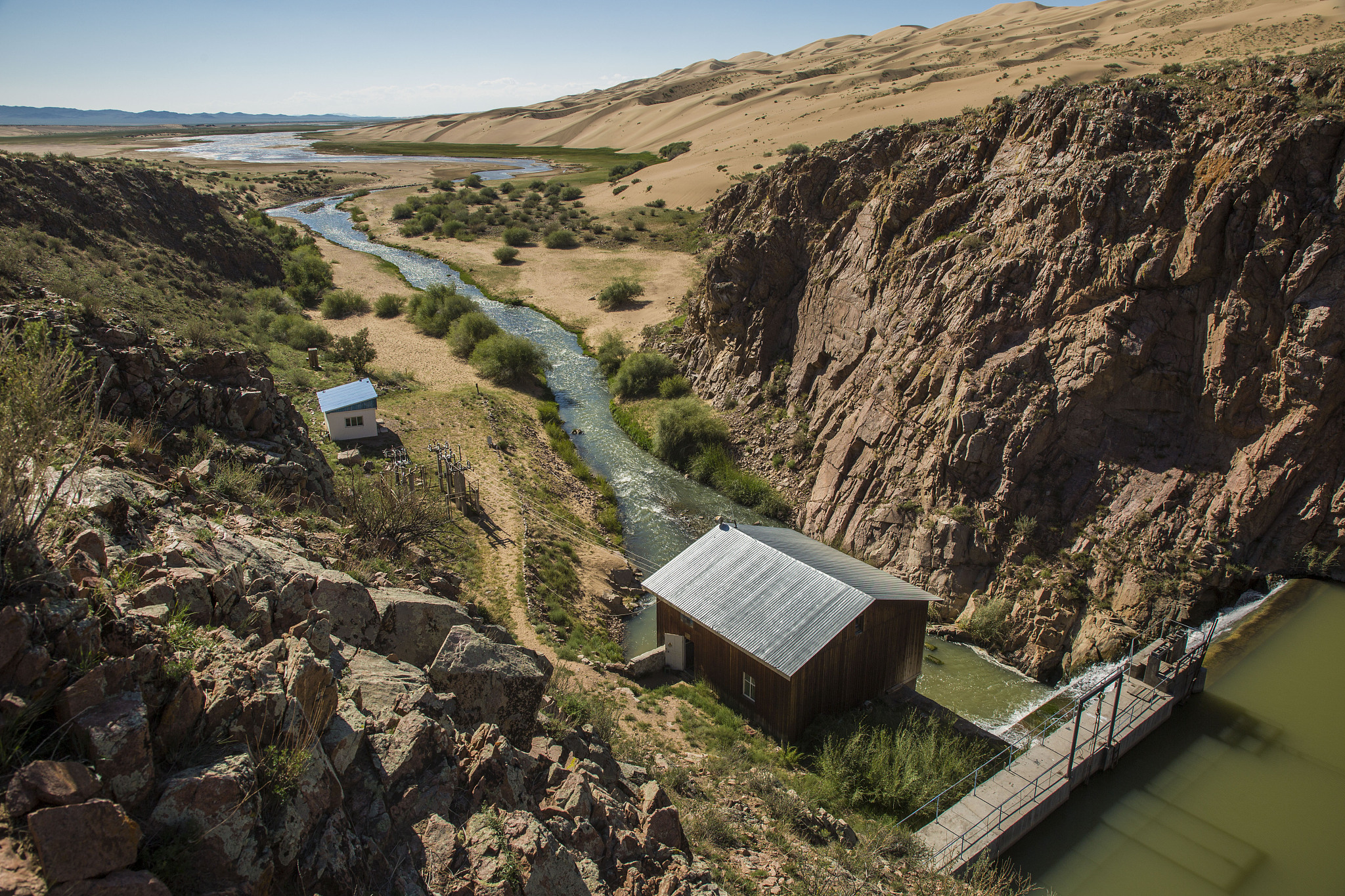 Salvia Miltiorrhiza Growth Experiment in Controlled Greenhouse Environment