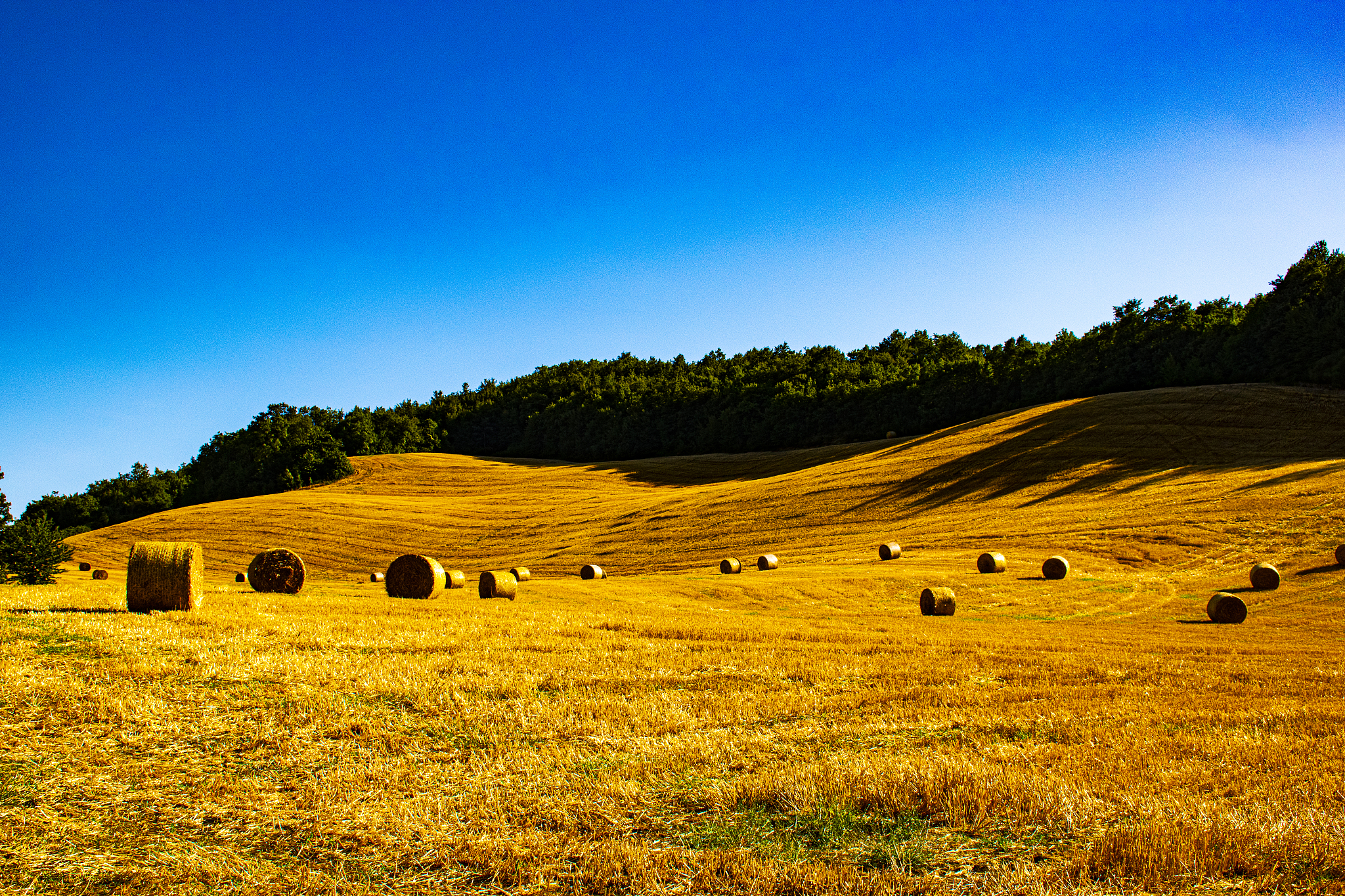 云南曲靖农业学校2019年全日制五年制普通高职大专招生介绍