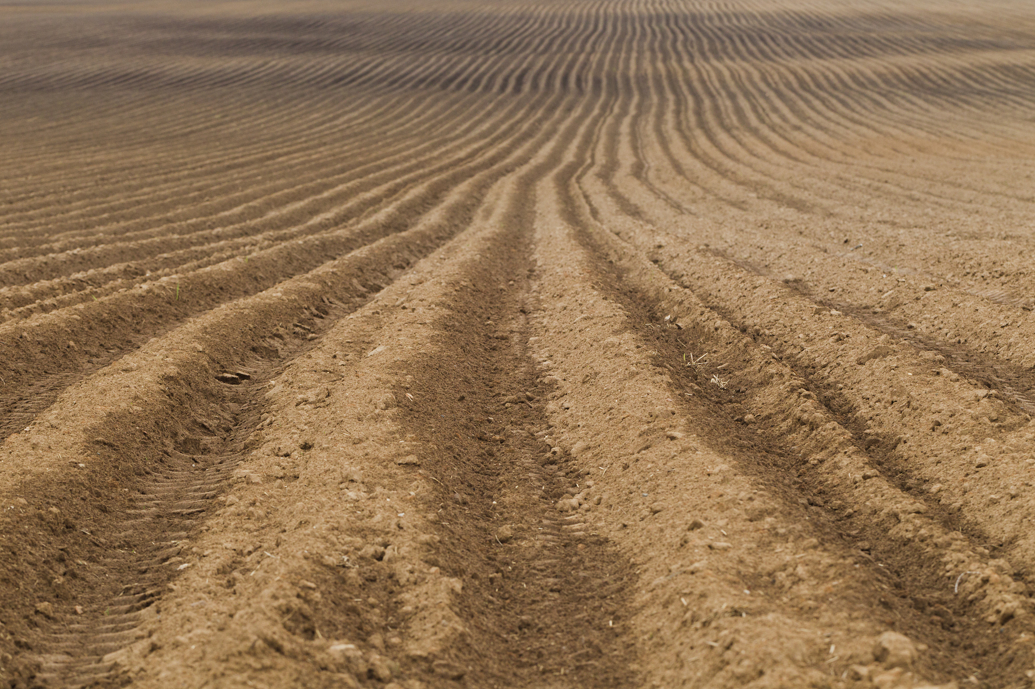 plowed farm field
