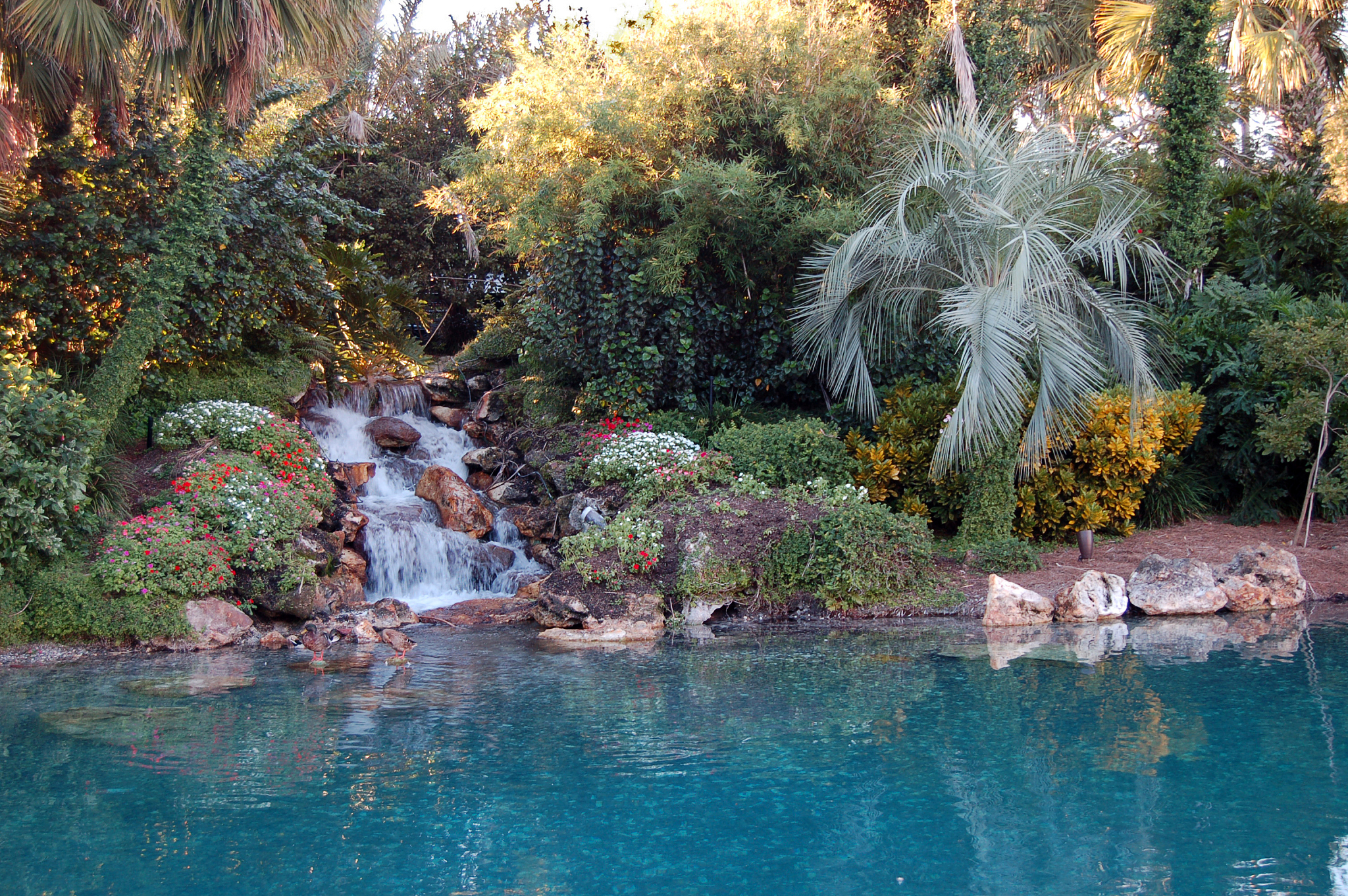ornamental garden