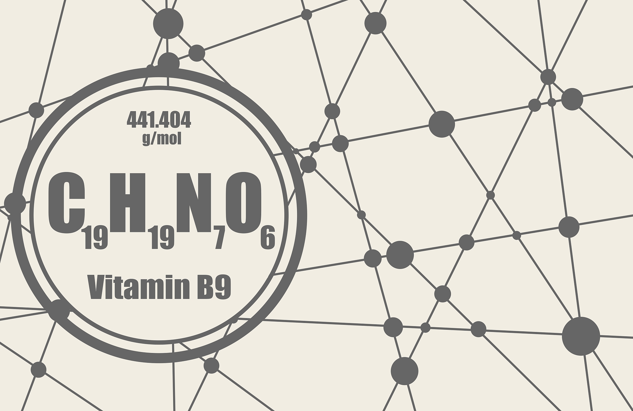 叶酸代谢过程详解：从吸收到排泄