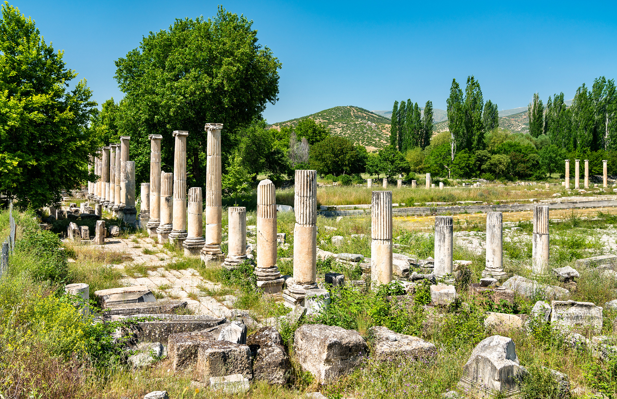 异能世界能量等级命名：克莱因、莫比乌斯、法拉第等