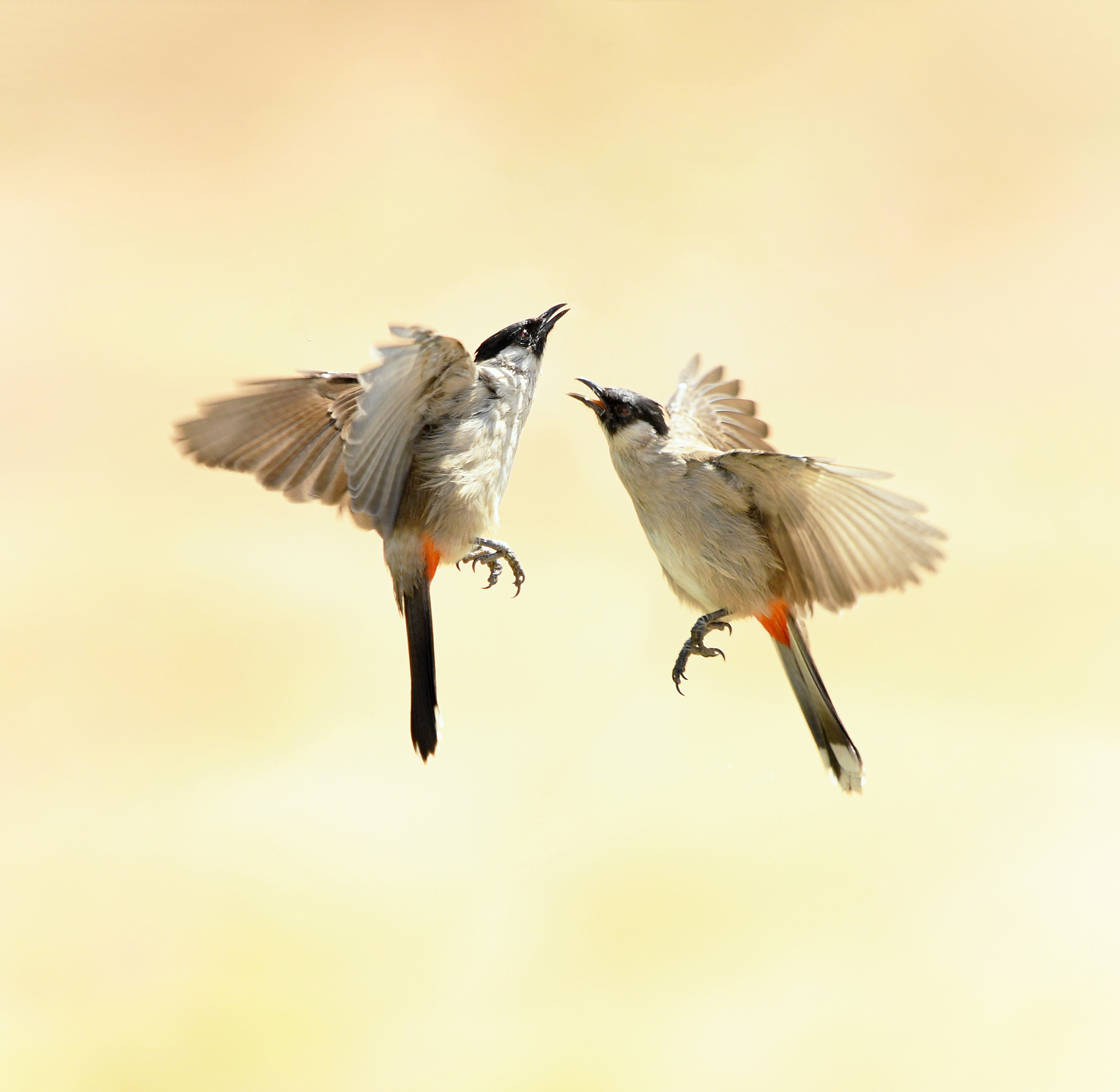 女生问我对她的印象如何？教你巧妙回答