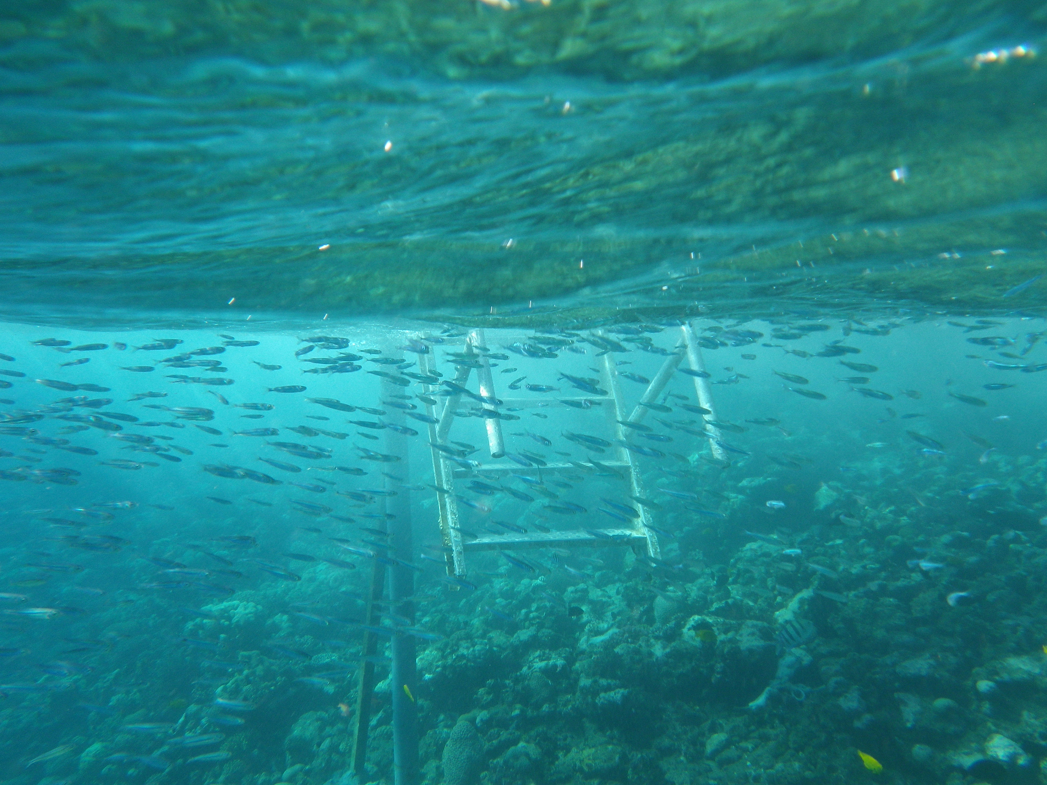 underwater holiday