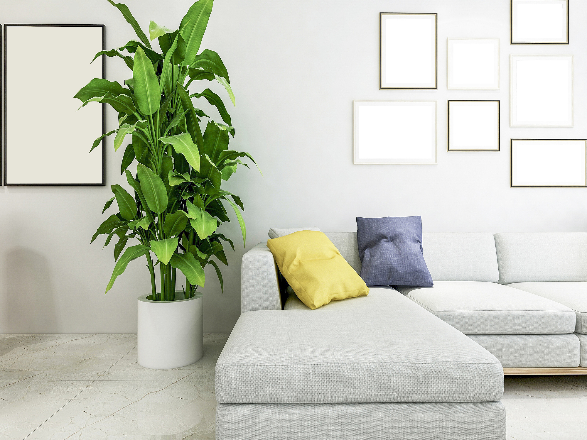 除甲醛方法大全：通风、植物、活性炭、紫外线灯等