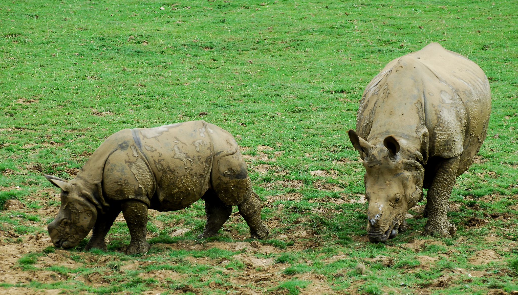 rhinoceros软件里面的rhinoCAM软件设置保存路径帮我用210字详细描述