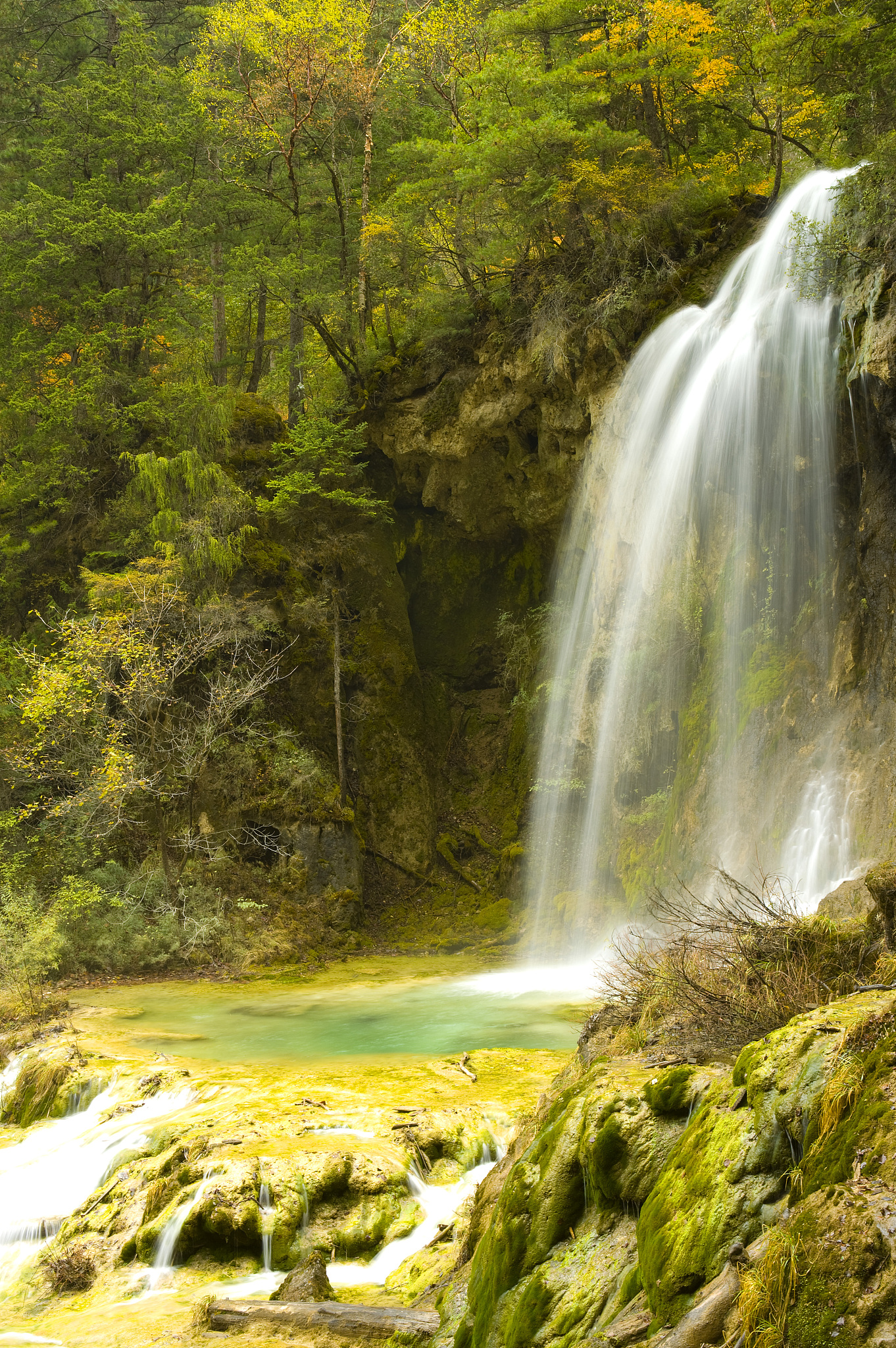 四川省旅游学校专业有哪些主药课程？