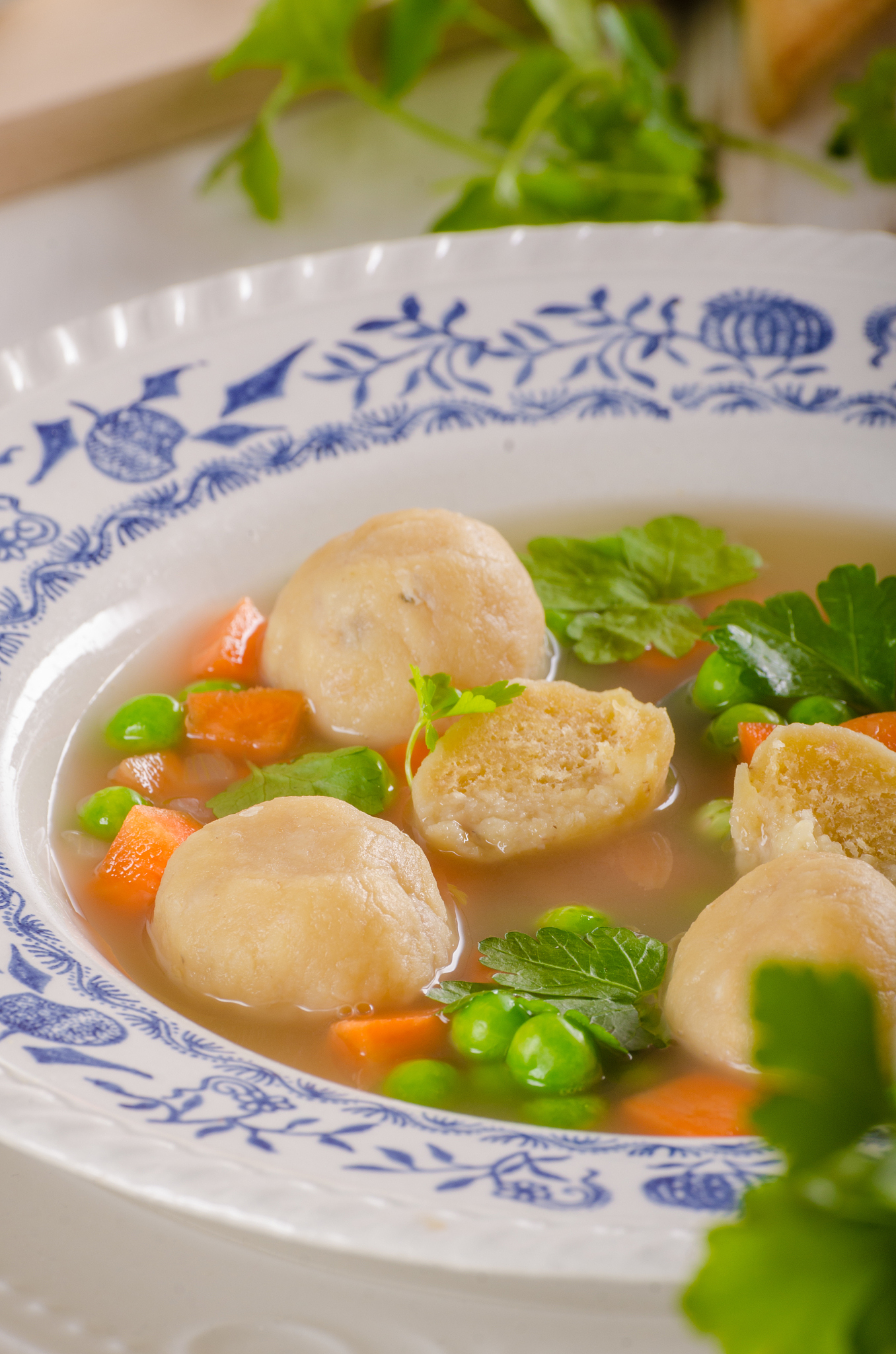 fresh vegetable soup with chicken dumplings