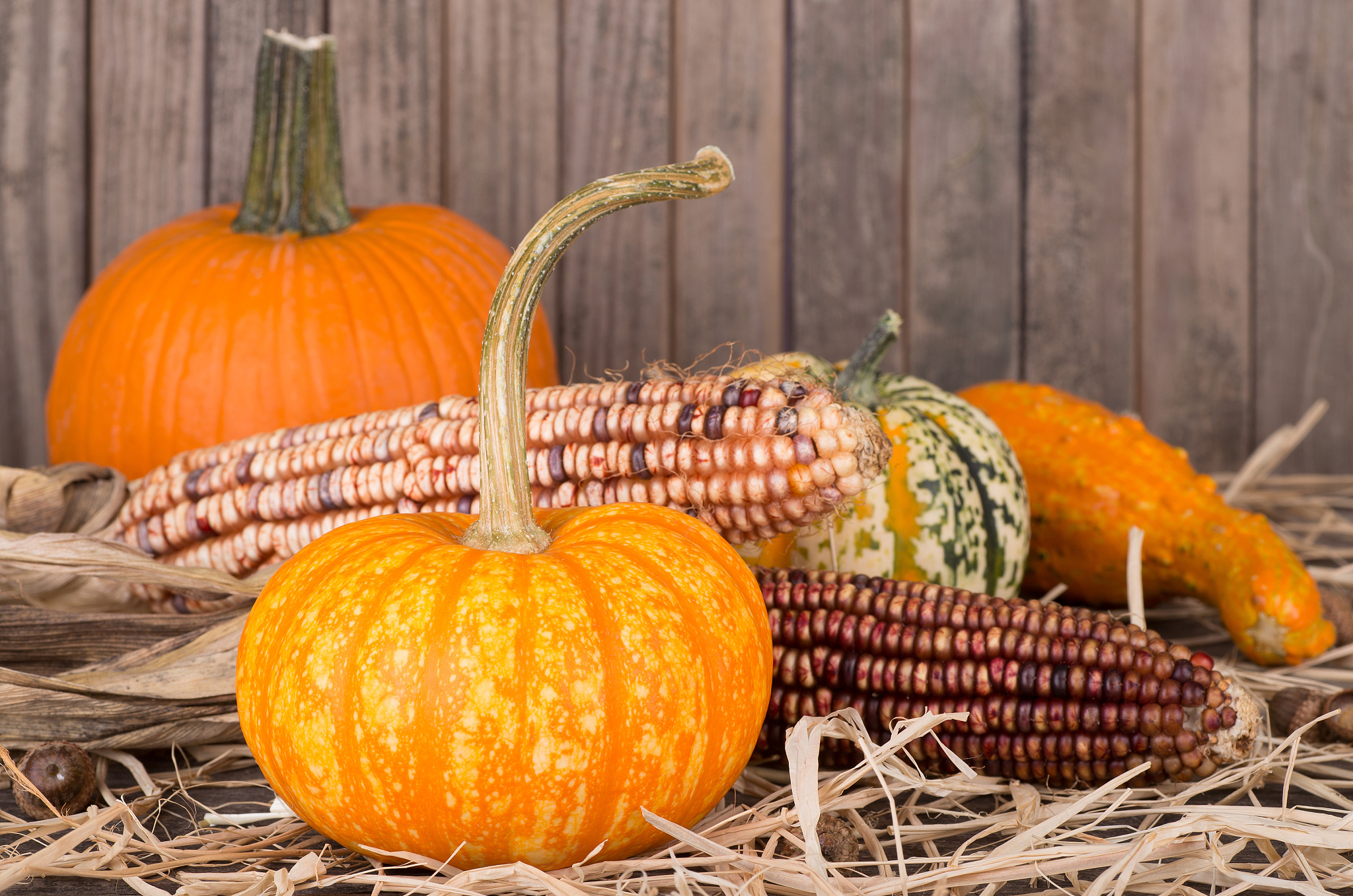 在坡耕地光伏区玉米、大豆、南瓜地块上取对应样土测定不同种植作物对团聚体分布及其不同粒径团聚体有机碳含量；最终对土壤团聚体与有机碳之间的关系进行相关性分析。润色