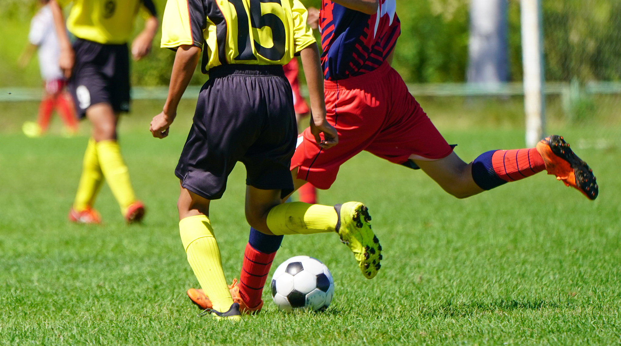 soccer