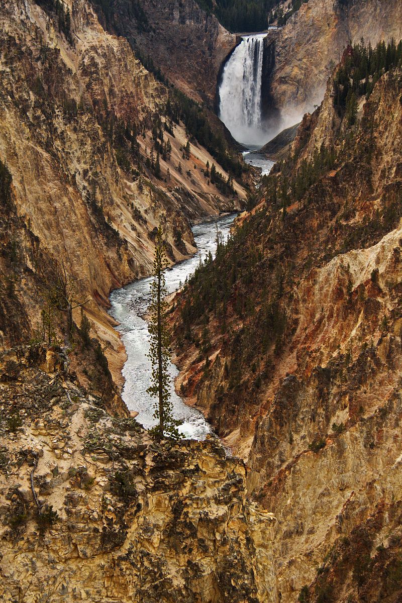 公园写景作文：赏心悦目，更有深意