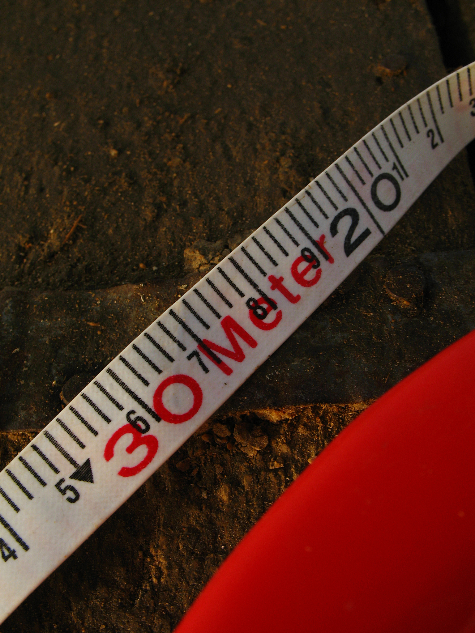 thirty meter long