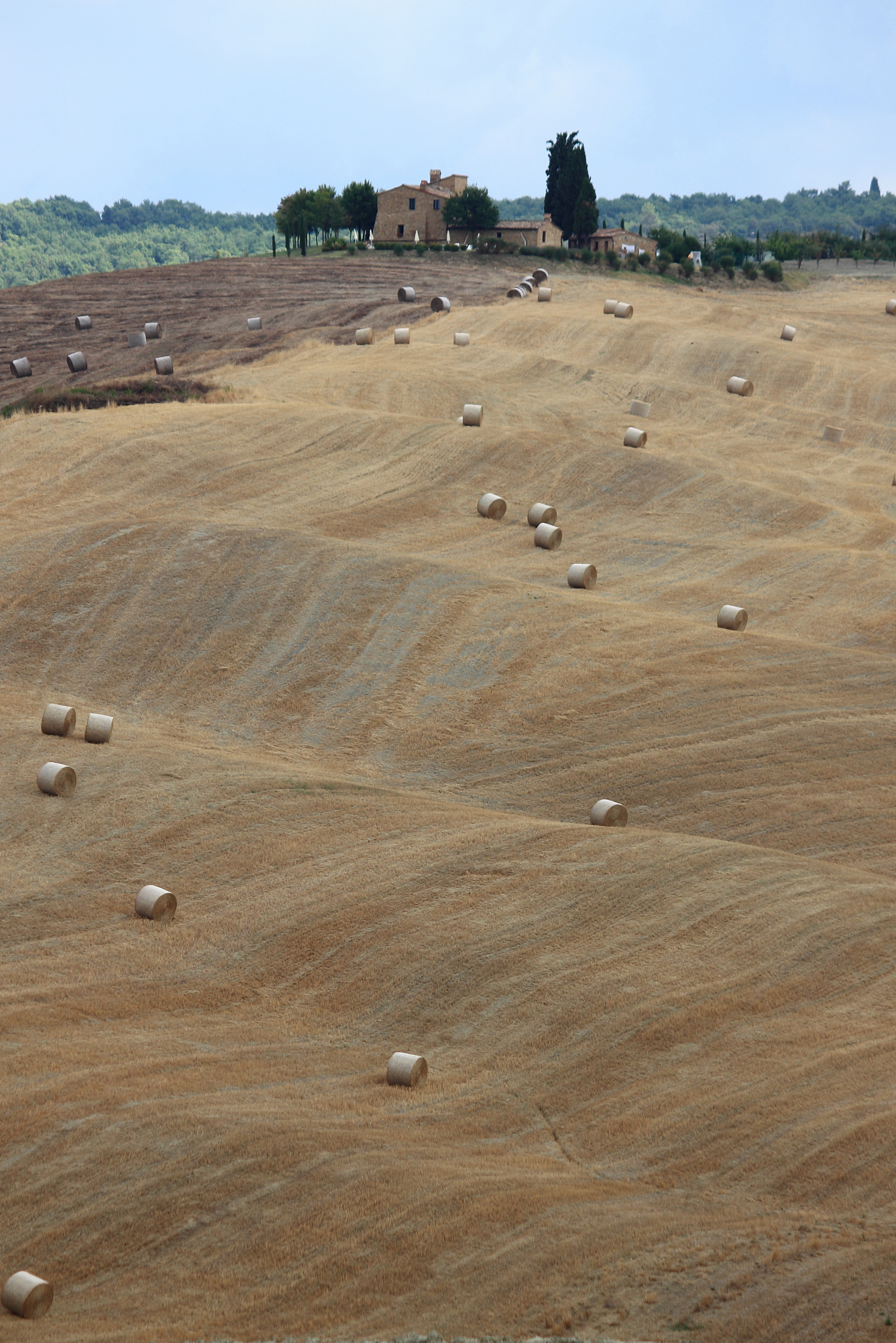 landscape in tuscany