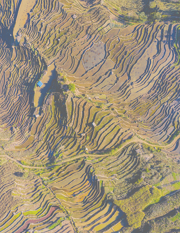 红河中专学校就业保障：选对学校，未来可期