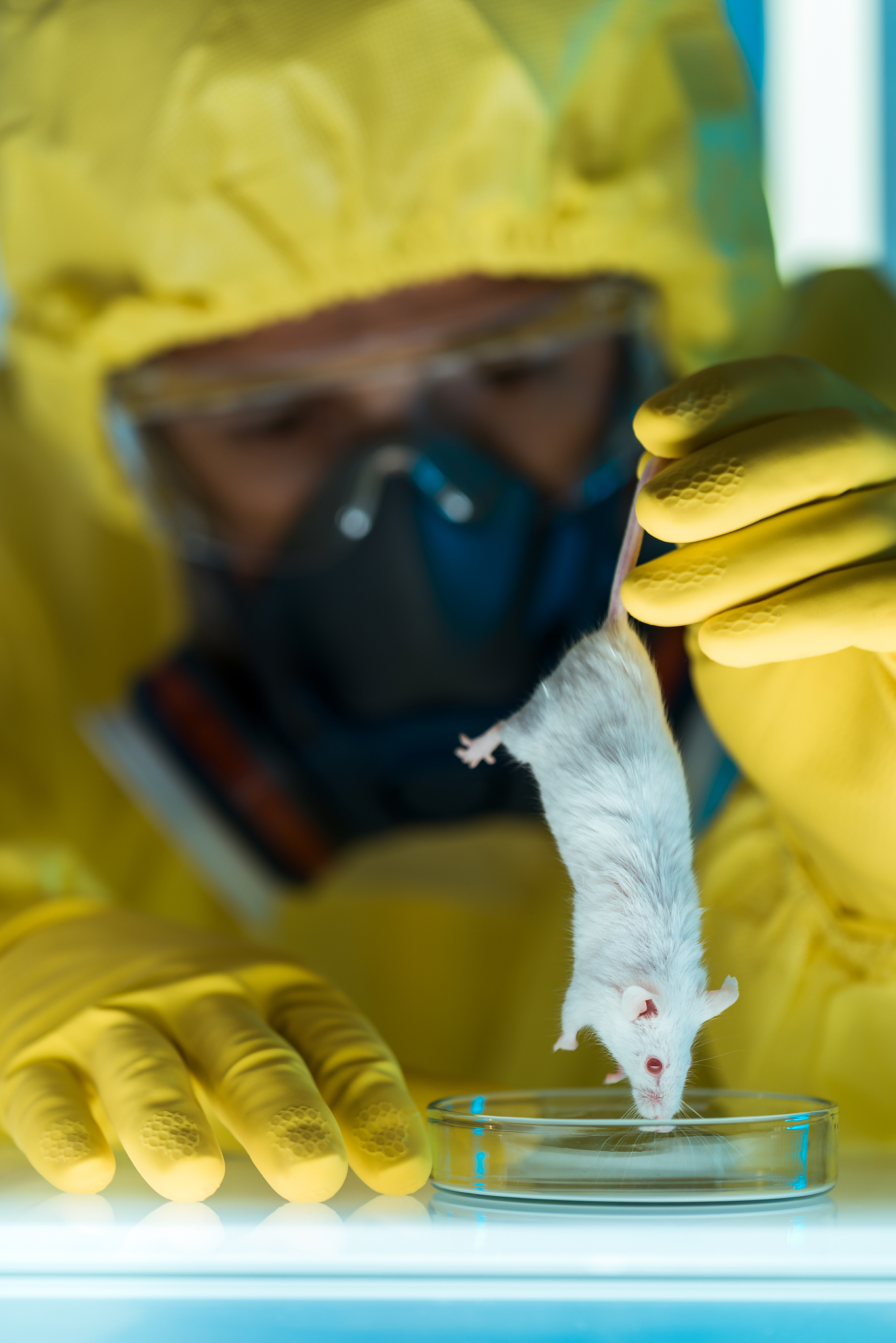 生物安全防控措施通俗理解是什么